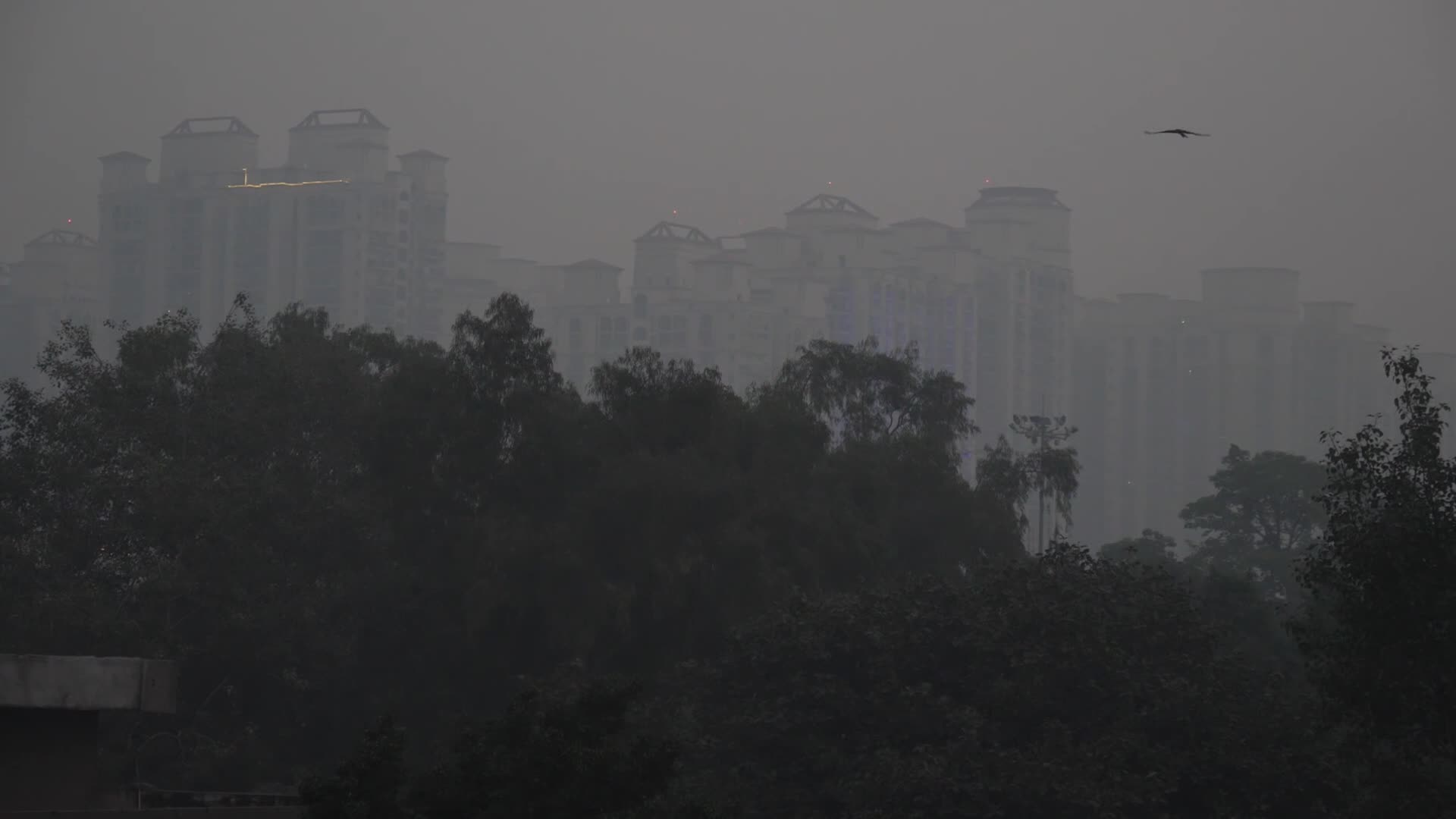 Air Pollution In New Delhi, India