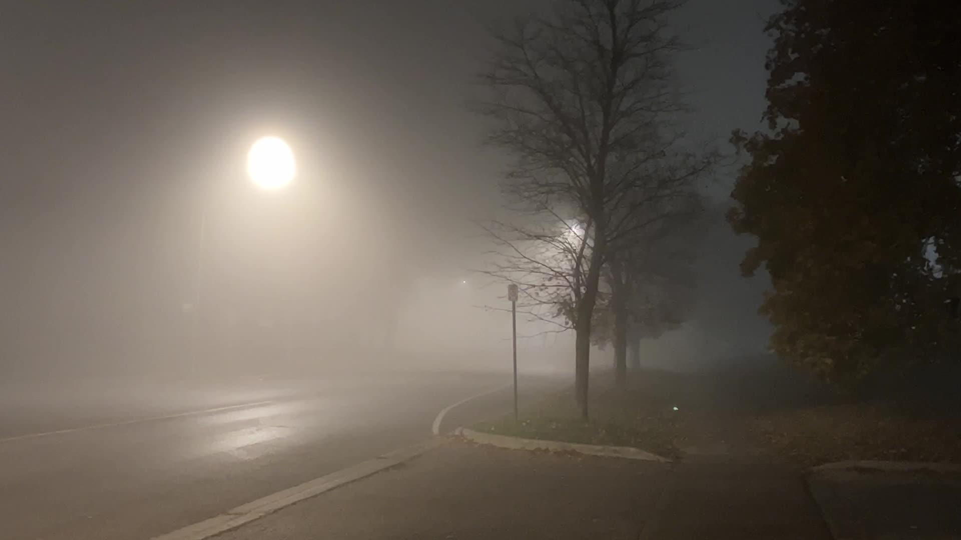 Fog advisory issued for Toronto