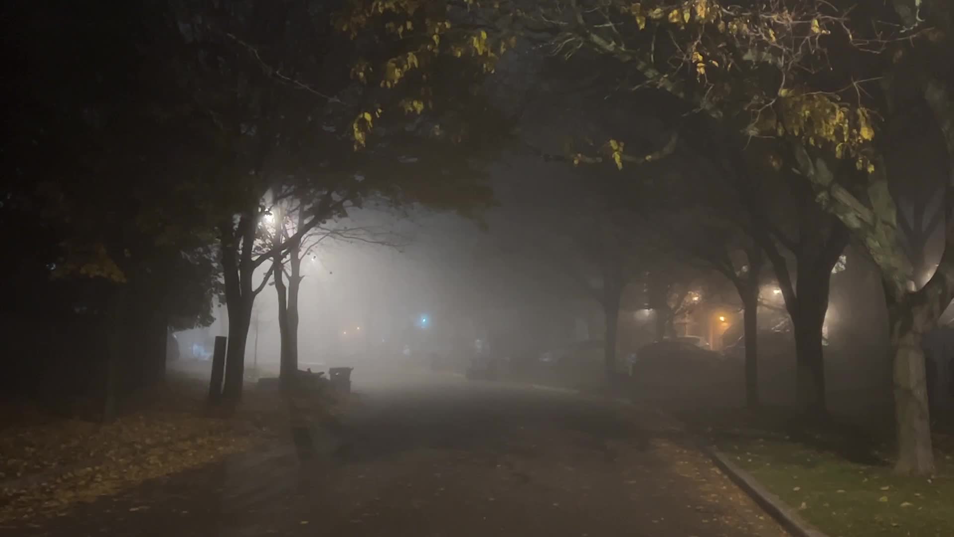 Fog advisory issued for Toronto