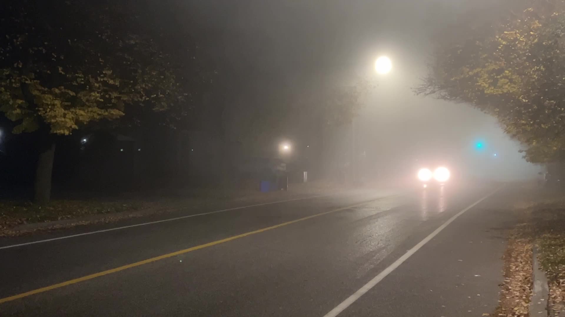 Fog advisory issued for Toronto