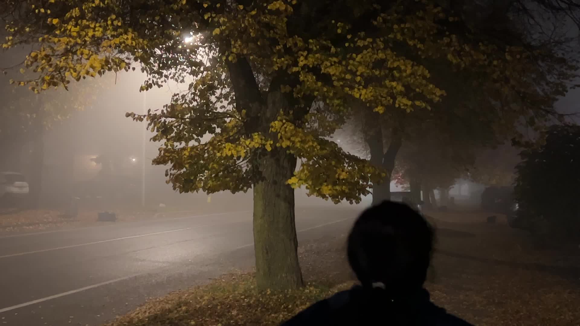 Fog advisory issued for Toronto
