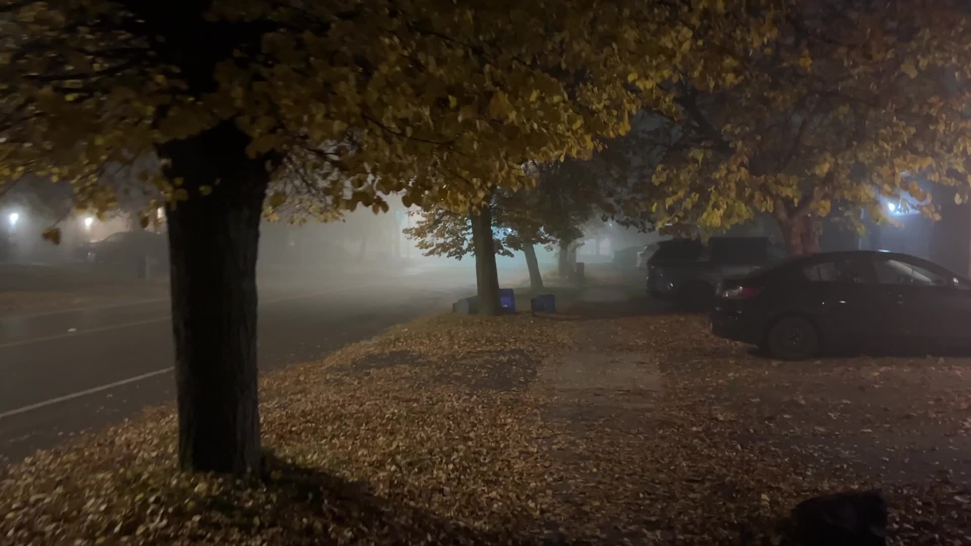 Fog advisory issued for Toronto