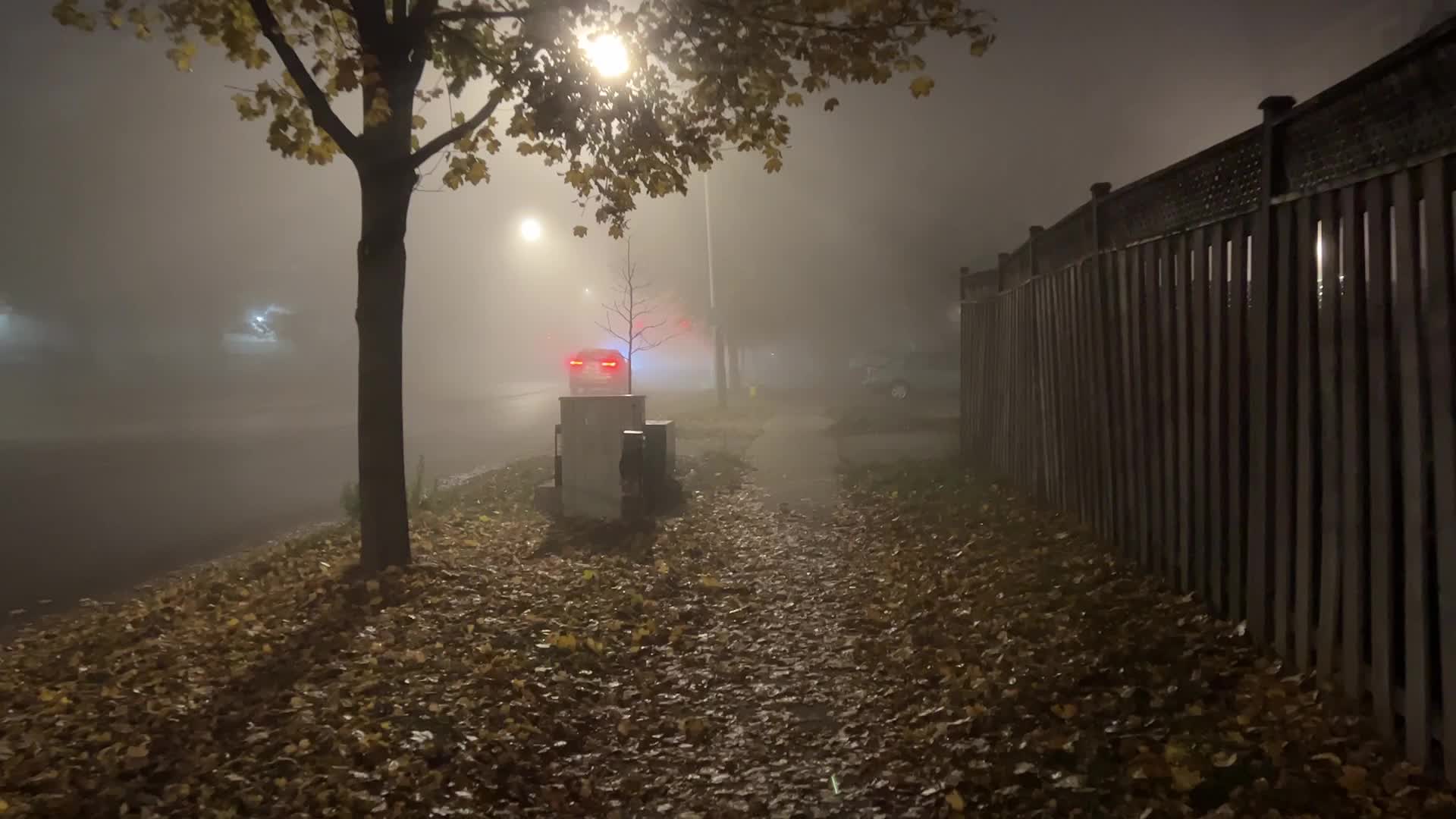 Fog advisory issued for Toronto