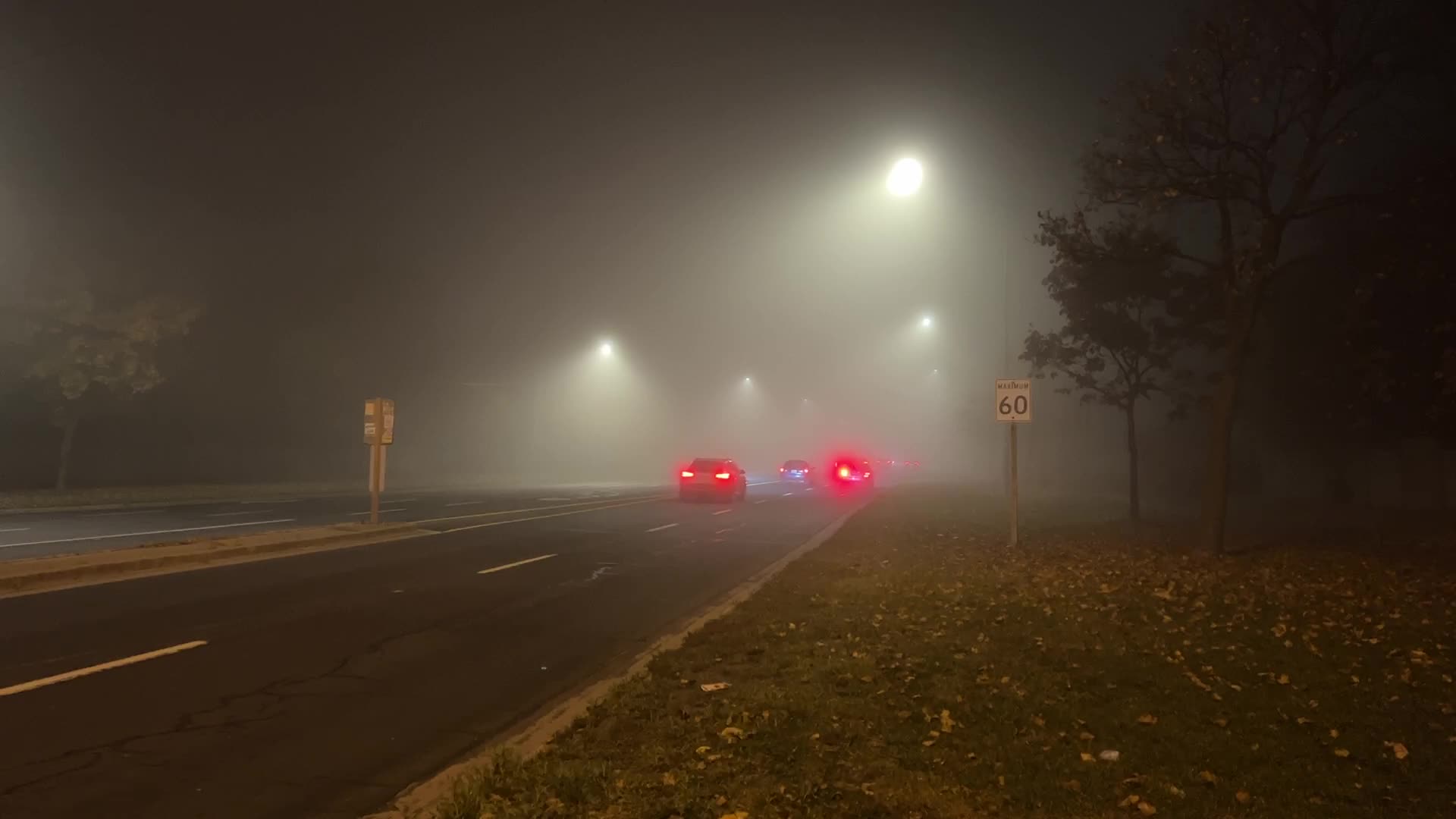 Fog advisory issued for Toronto