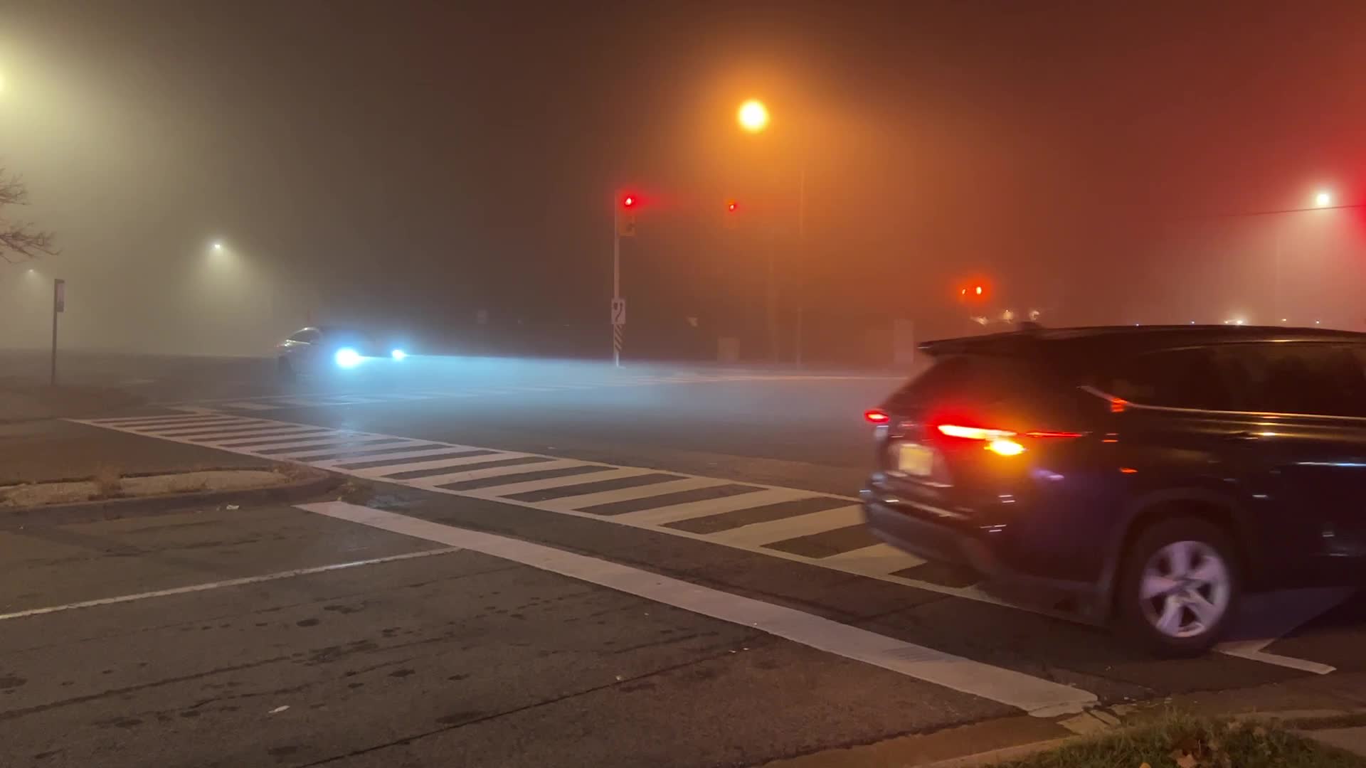 Fog advisory issued for Toronto