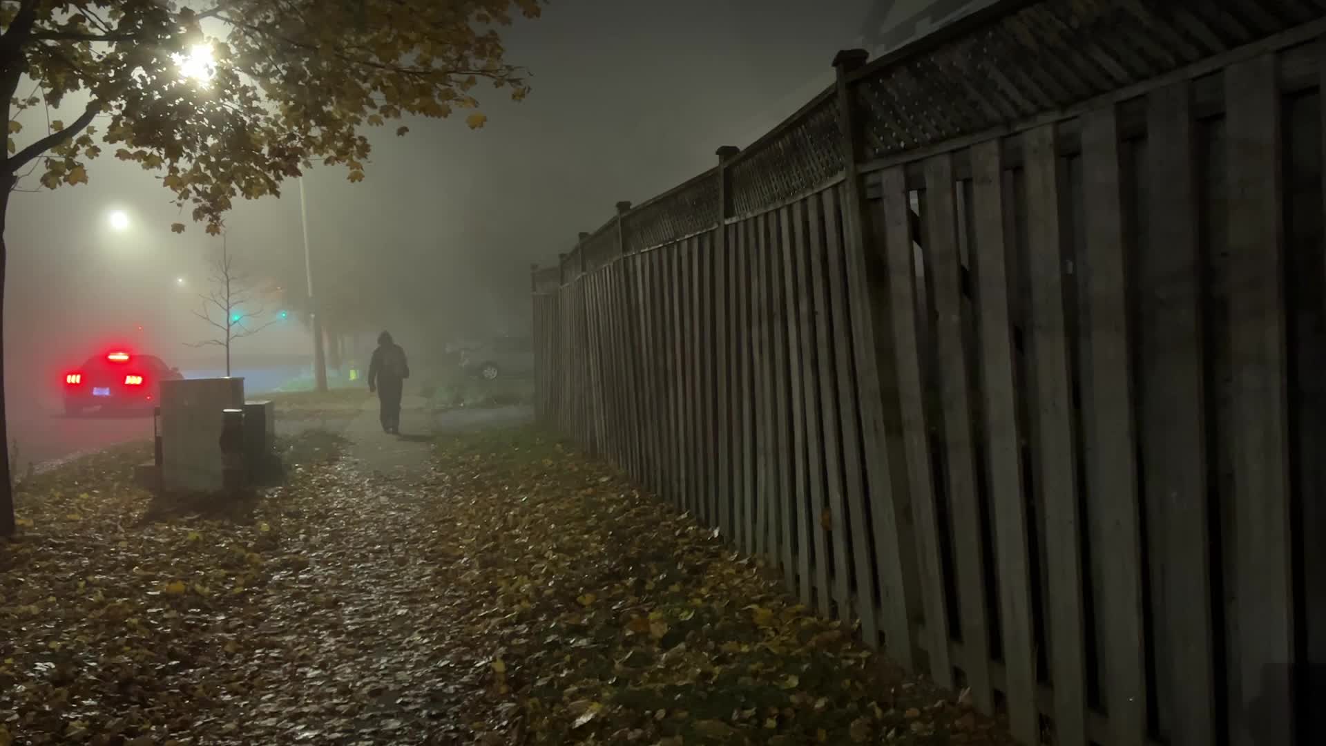 Fog advisory issued for Toronto