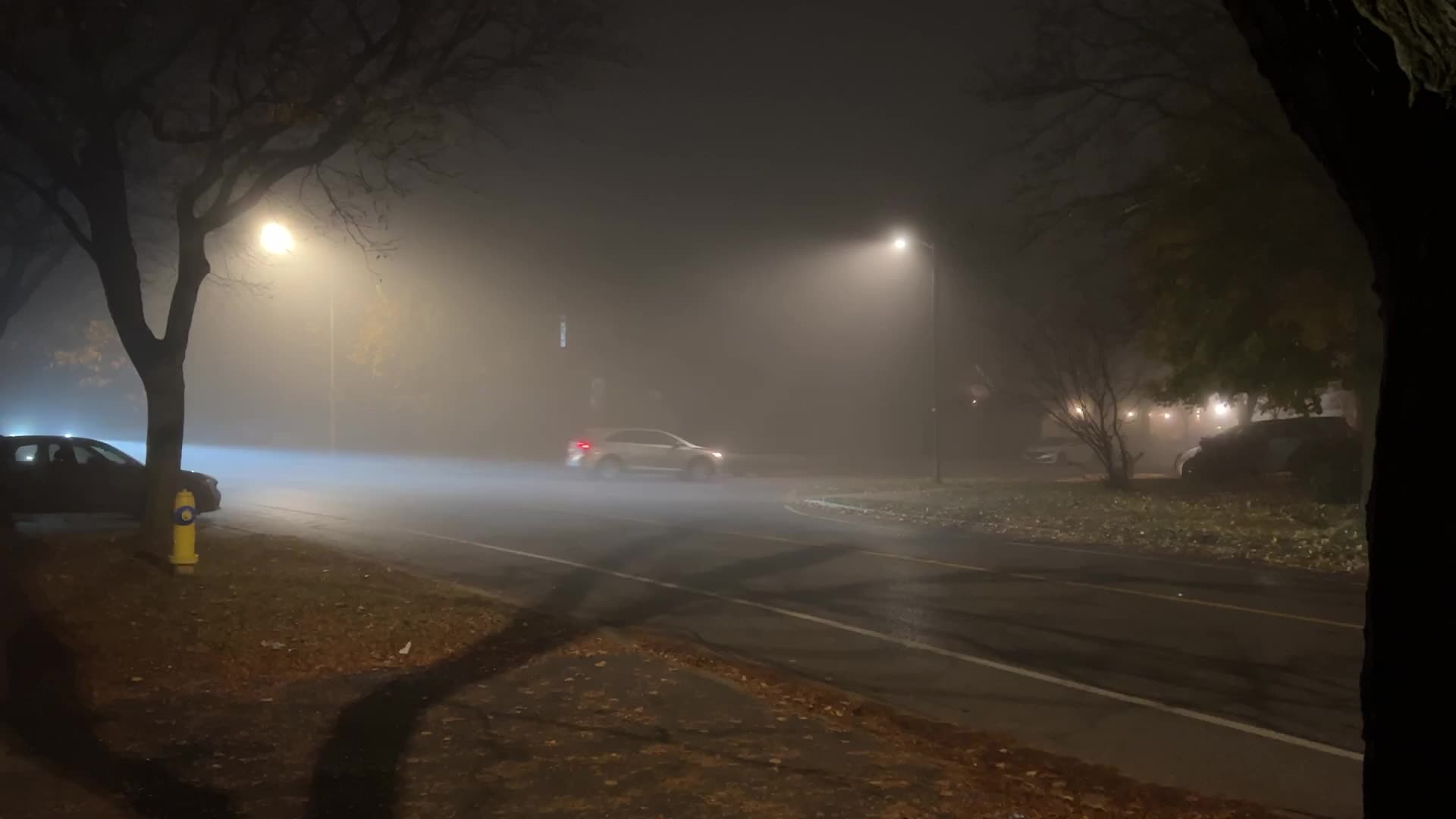 Fog advisory issued for Toronto