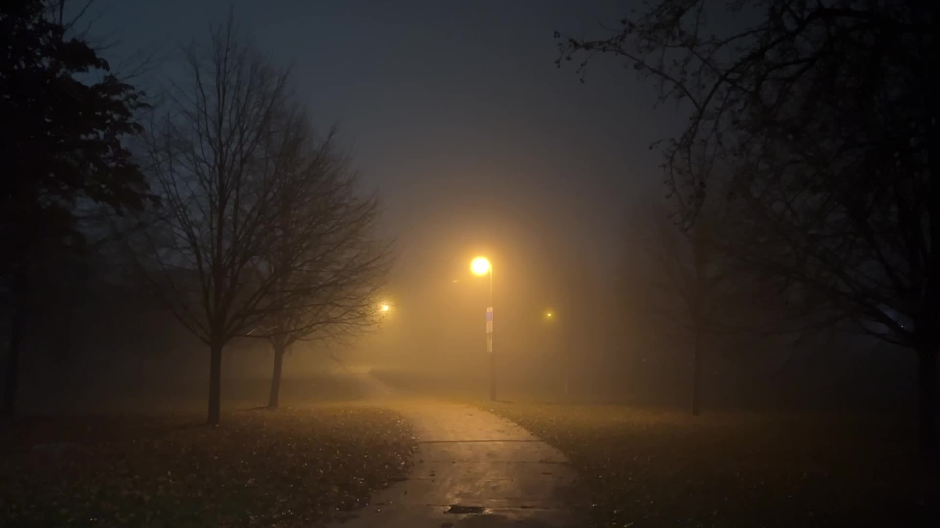 Fog advisory issued for Toronto
