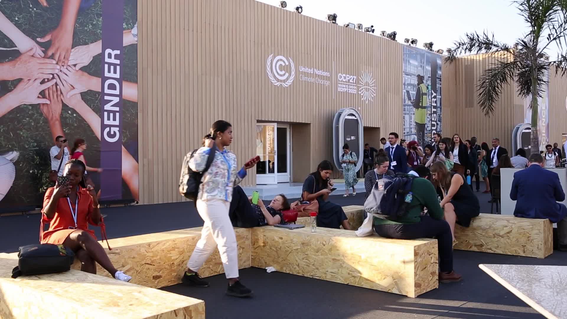 COP27 in Sharm El Sheikh - Day 1