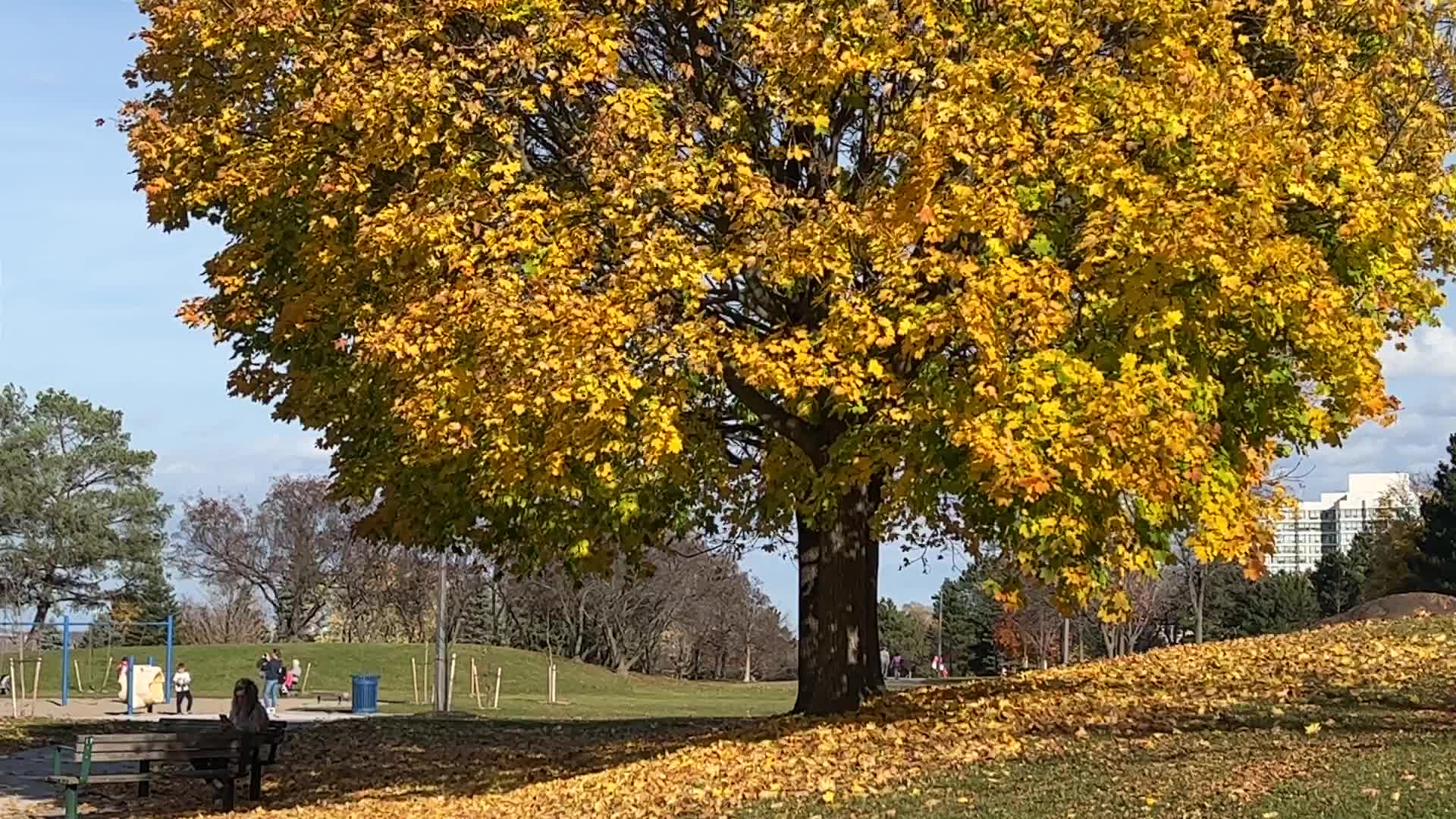 Toronto broke a 63-year temperature record