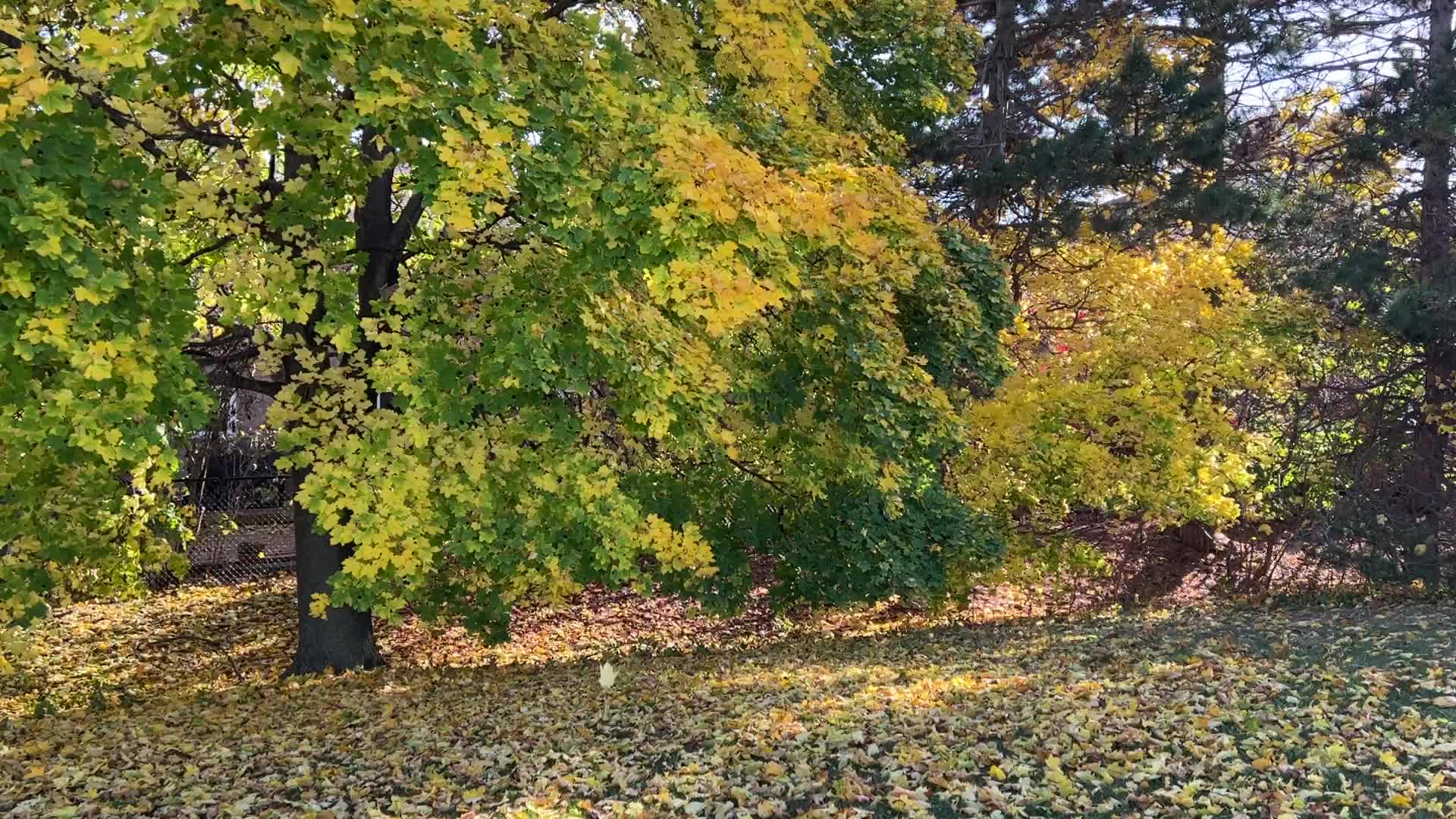 Toronto broke a 63-year temperature record