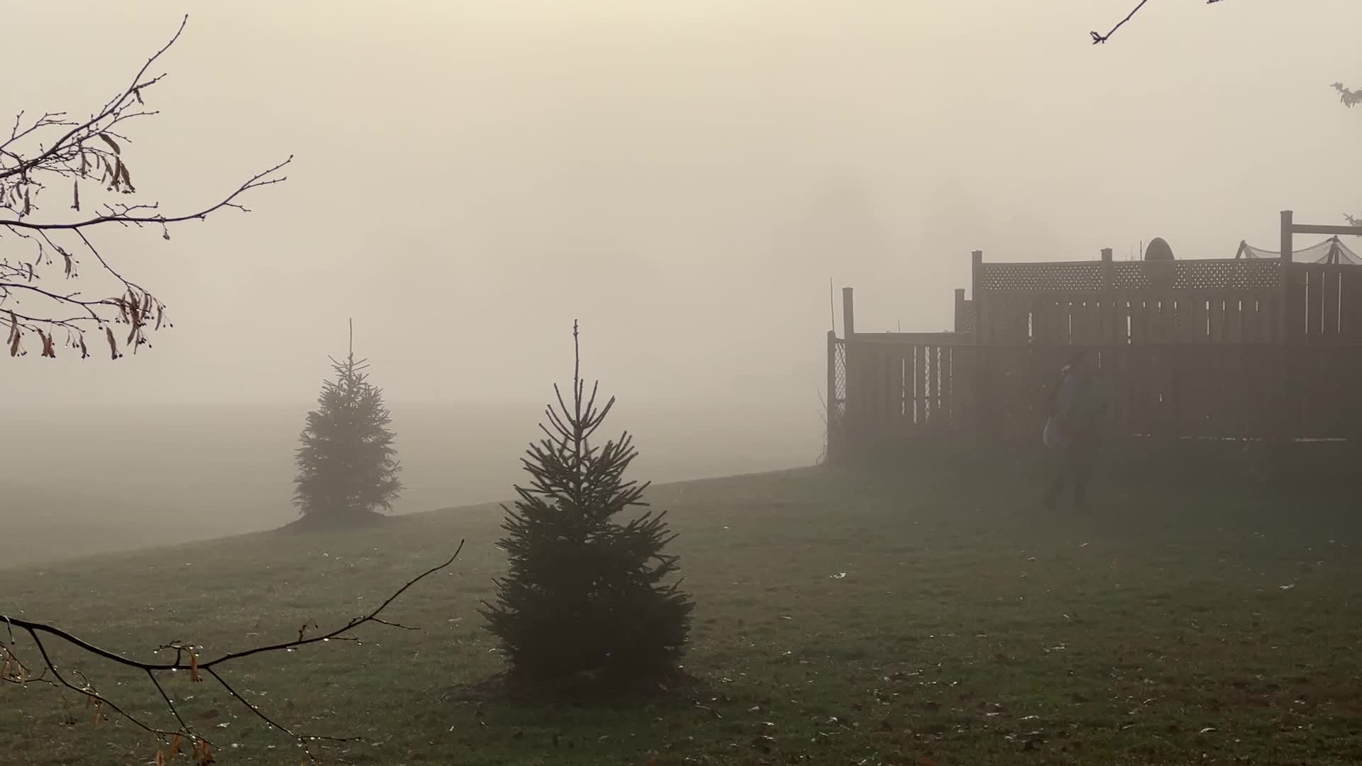 Foggy morning during the Autumn season