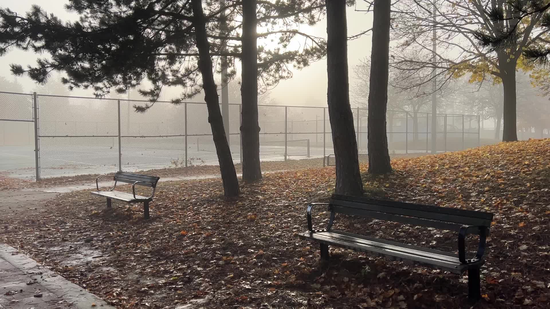 Foggy morning during the Autumn season