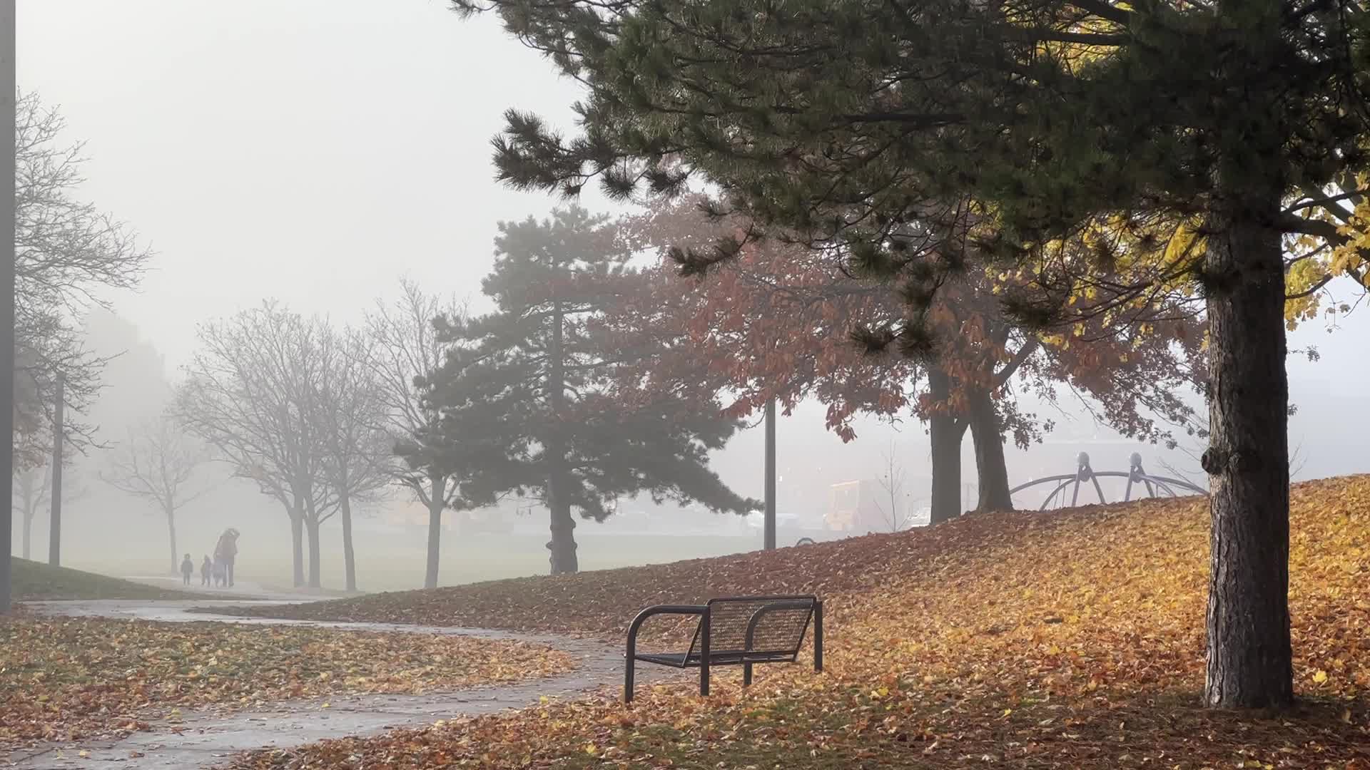 Foggy morning during the Autumn season