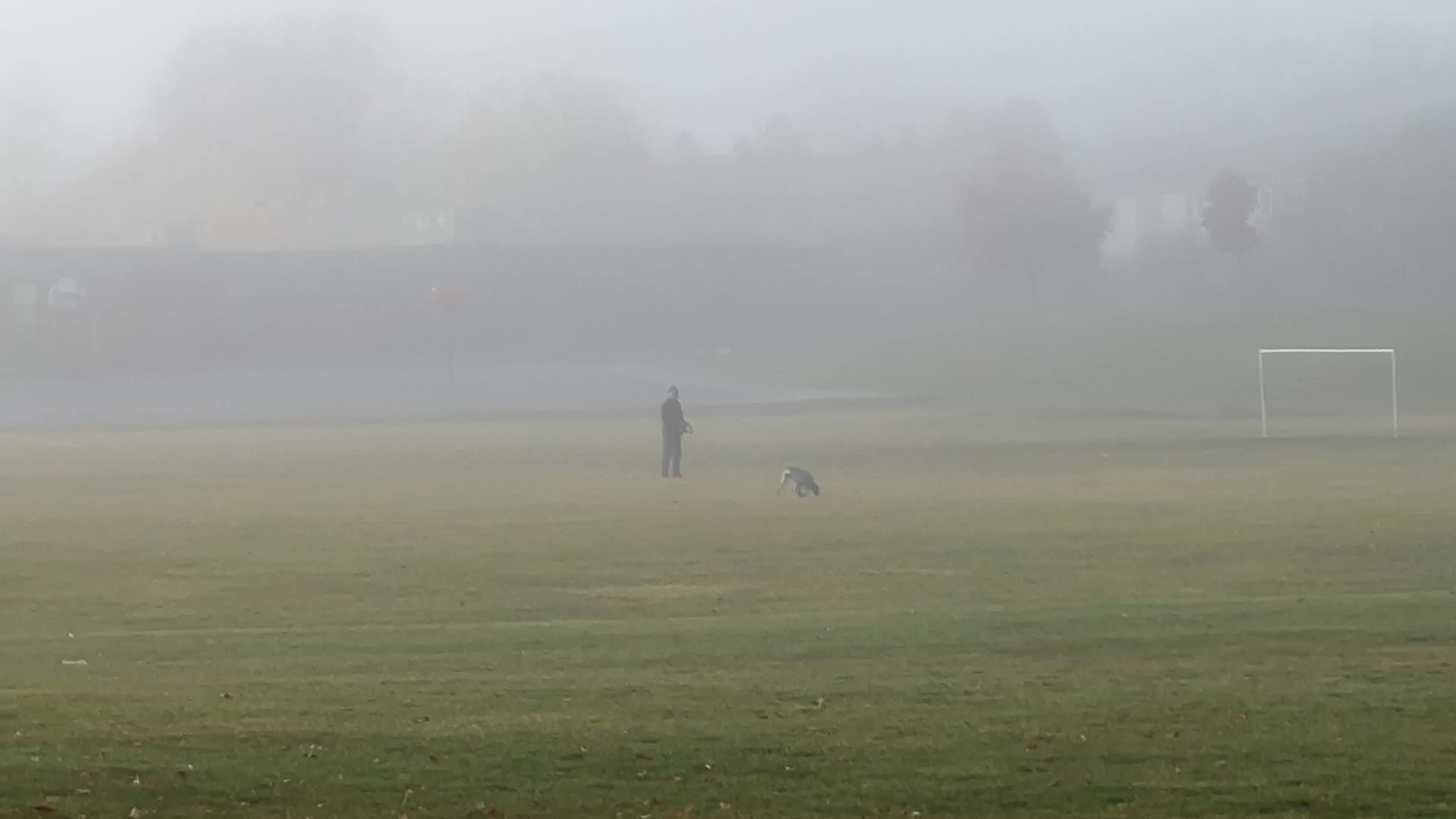 Foggy morning during the Autumn season
