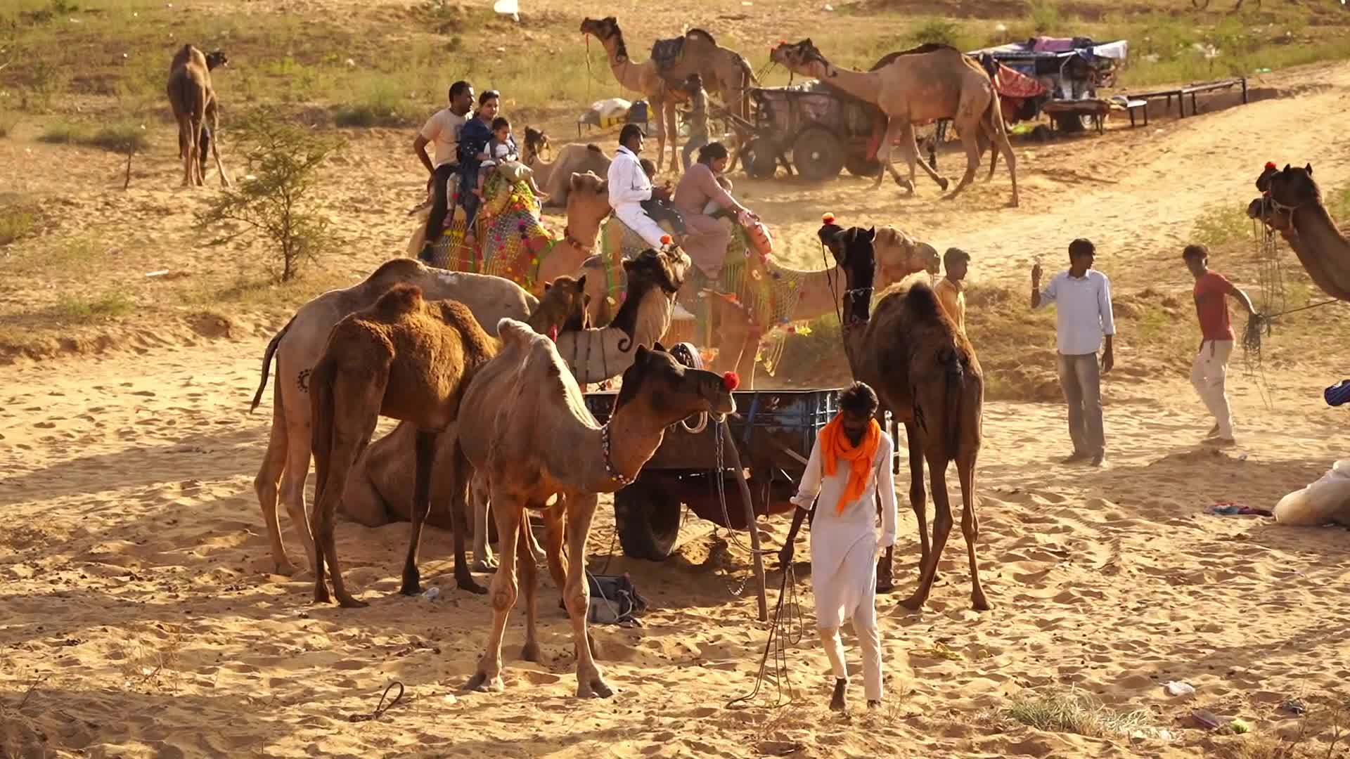 Pushkar Camel Fair in Pushkar in the Indian state of Rajasthan