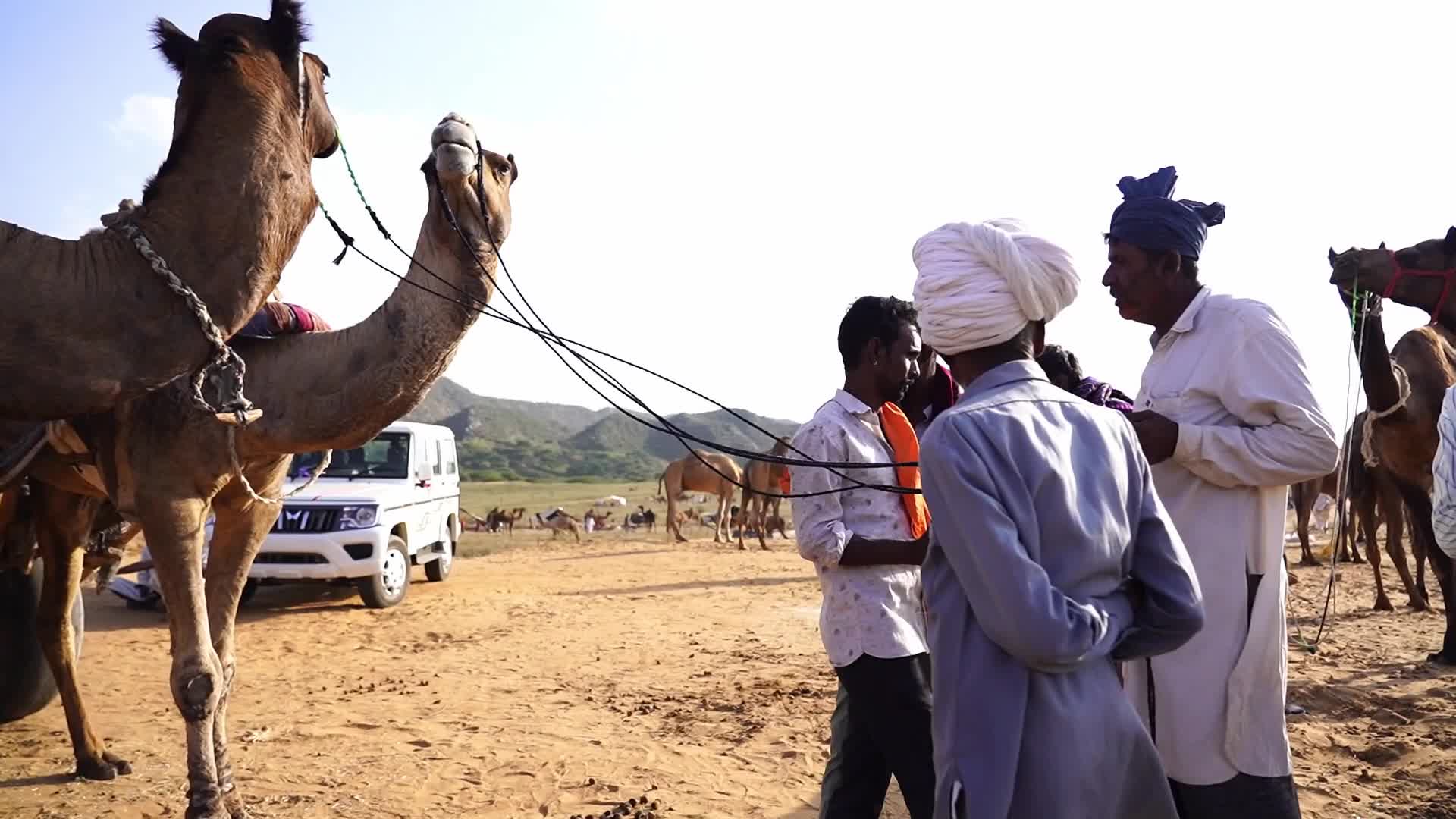 Pushkar Camel Fair in Pushkar in the Indian state of Rajasthan