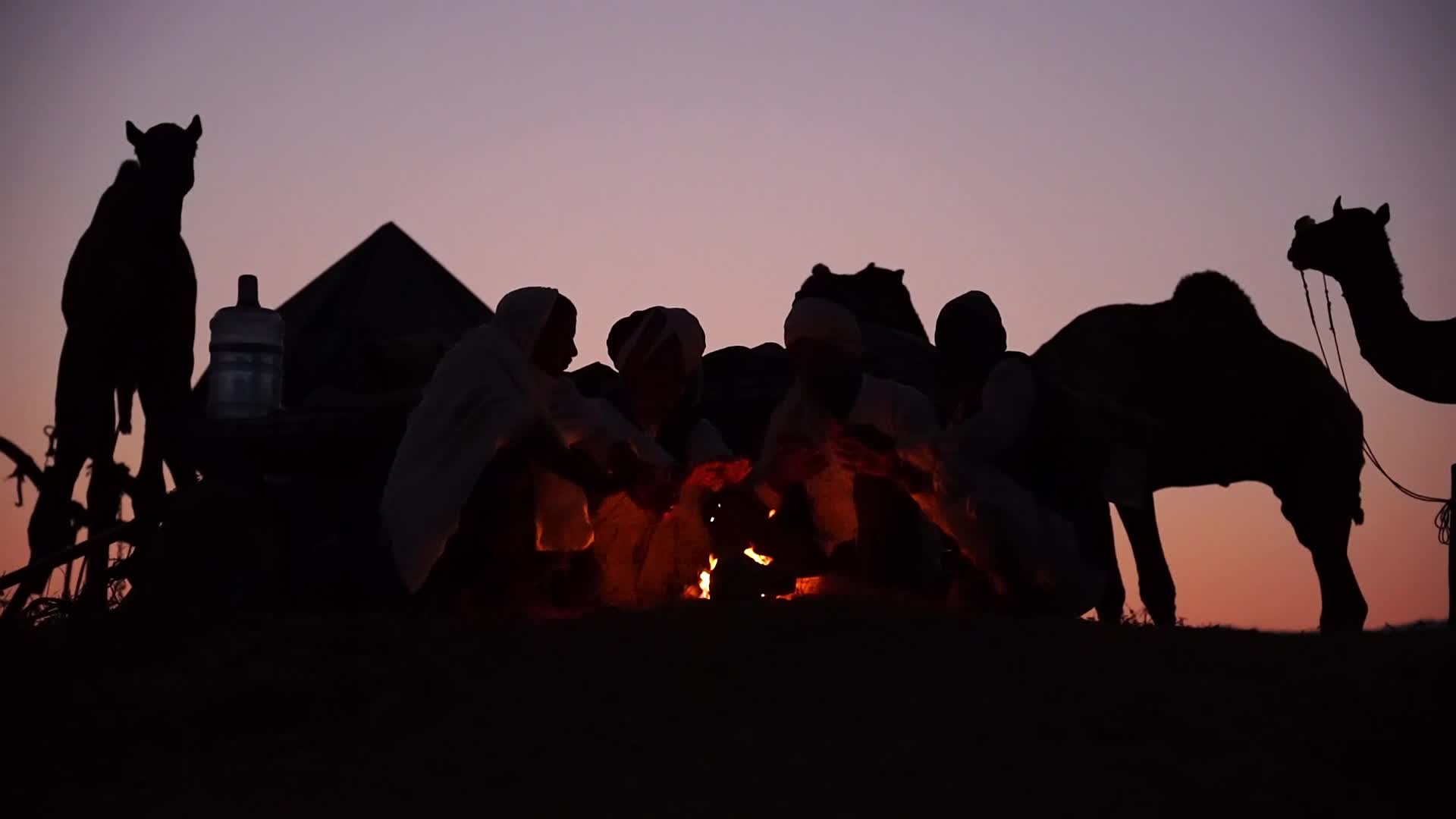Pushkar Camel Fair in Pushkar in the Indian state of Rajasthan