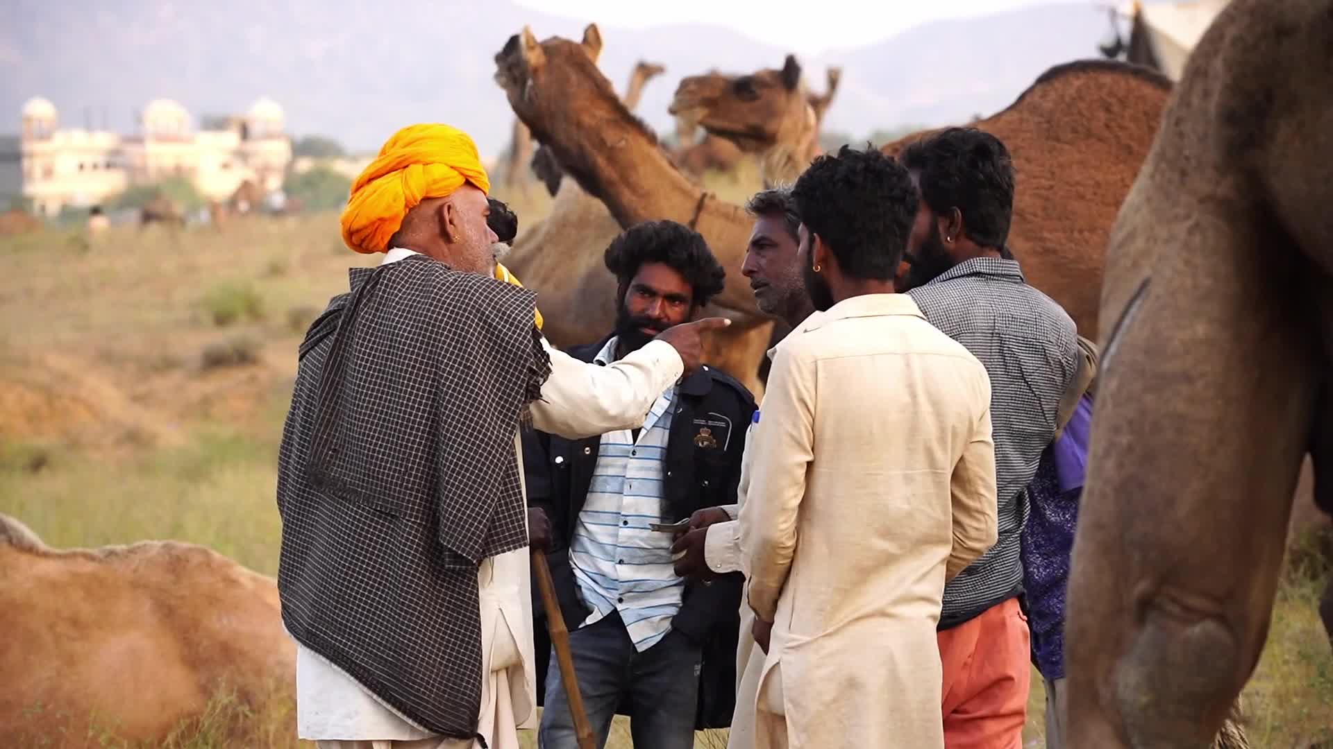 Pushkar Camel Fair in Pushkar in the Indian state of Rajasthan