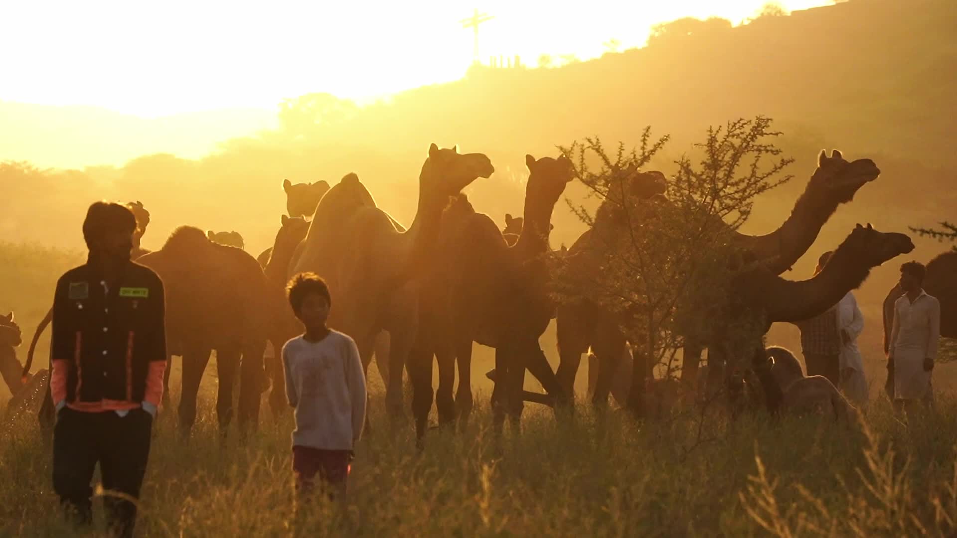 Pushkar Camel Fair in Pushkar in the Indian state of Rajasthan