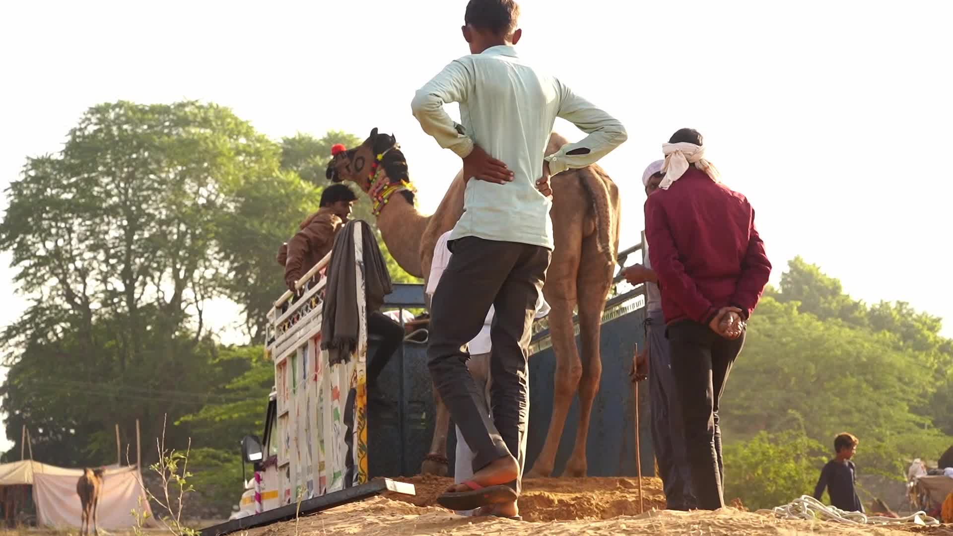 Indian camel traders bring their livestock during the annual Pushkar Camel Fair in Pushkar
