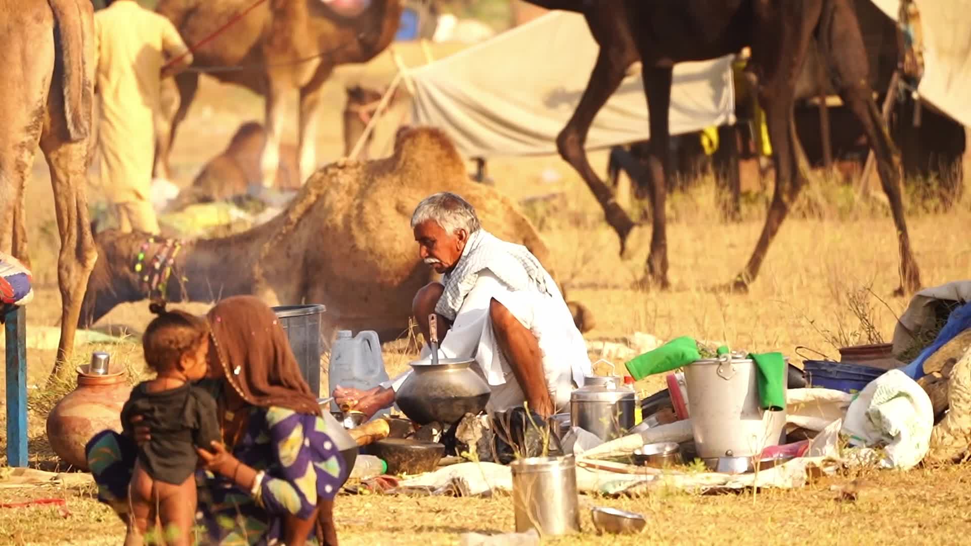 Indian camel traders bring their livestock during the annual Pushkar Camel Fair in Pushkar