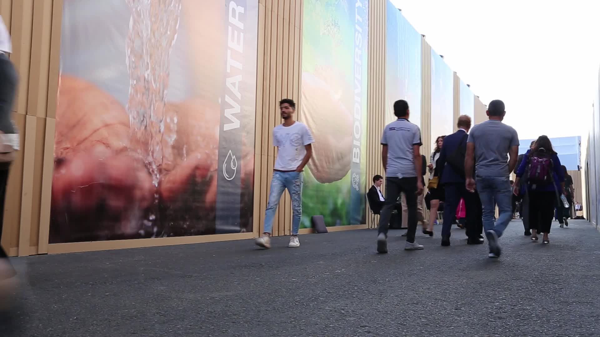 COP27 in Sharm El Sheikh - Day 4