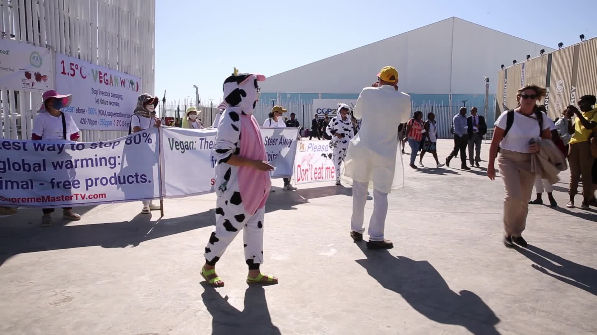 COP27 in Sharm El Sheikh - Day 4