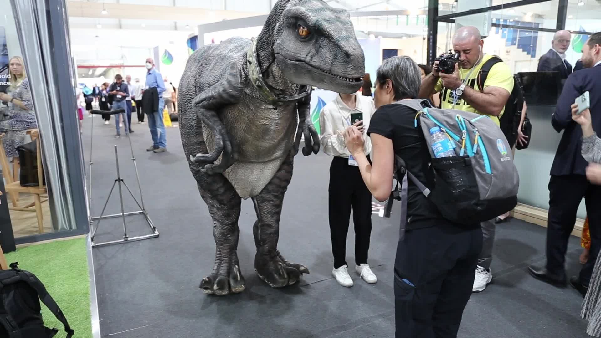 COP27 in Sharm El Sheikh - Day 5