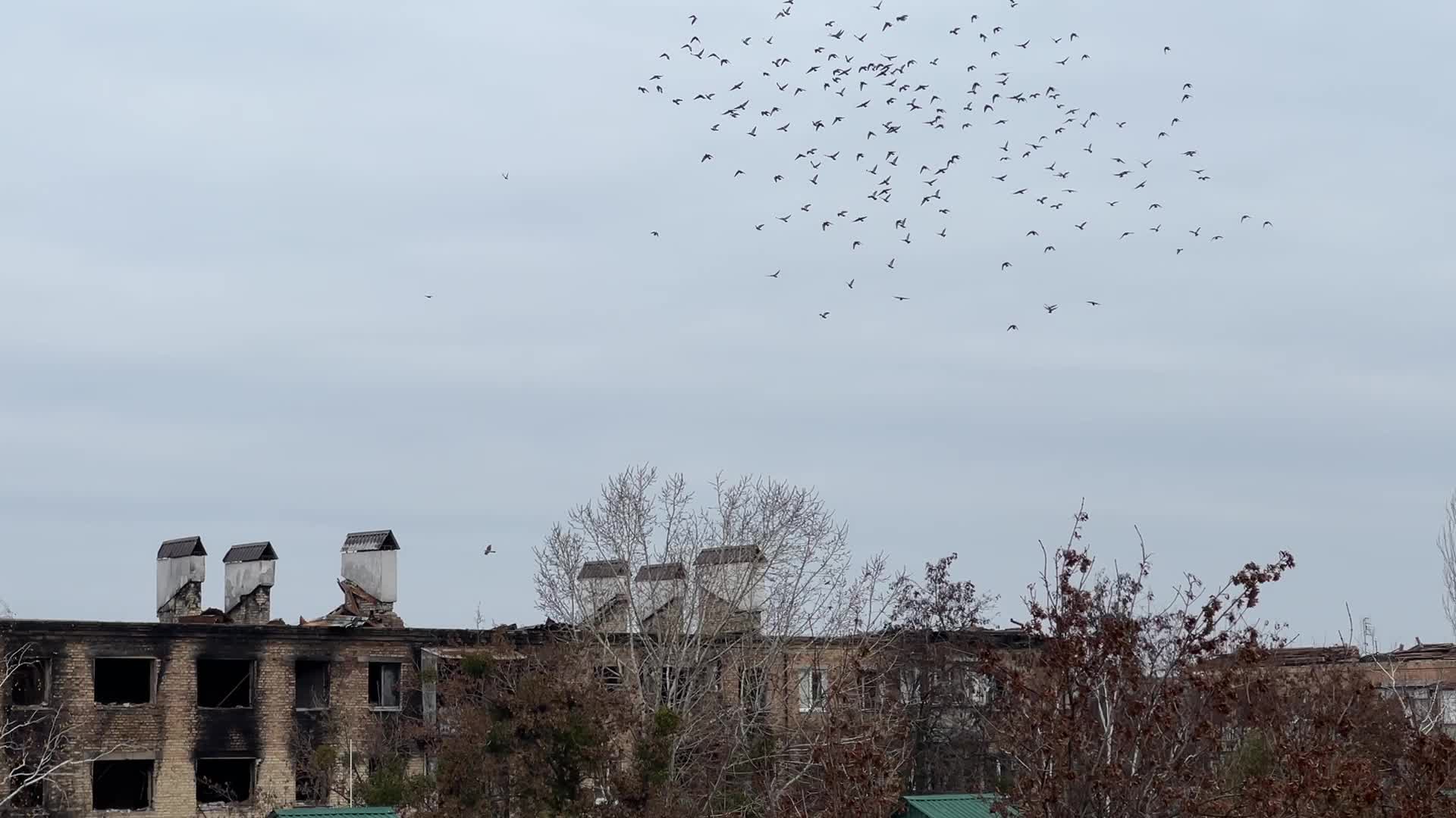 Banksy Graffiti Appeared On Several Destroyed Buildings In The Kyiv Region