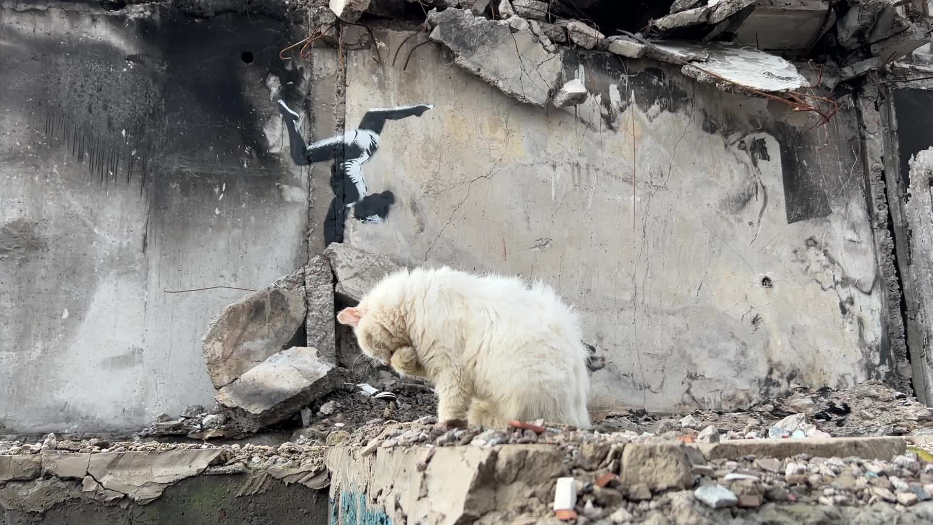 Banksy Graffiti Appeared On Several Destroyed Buildings In The Kyiv Region