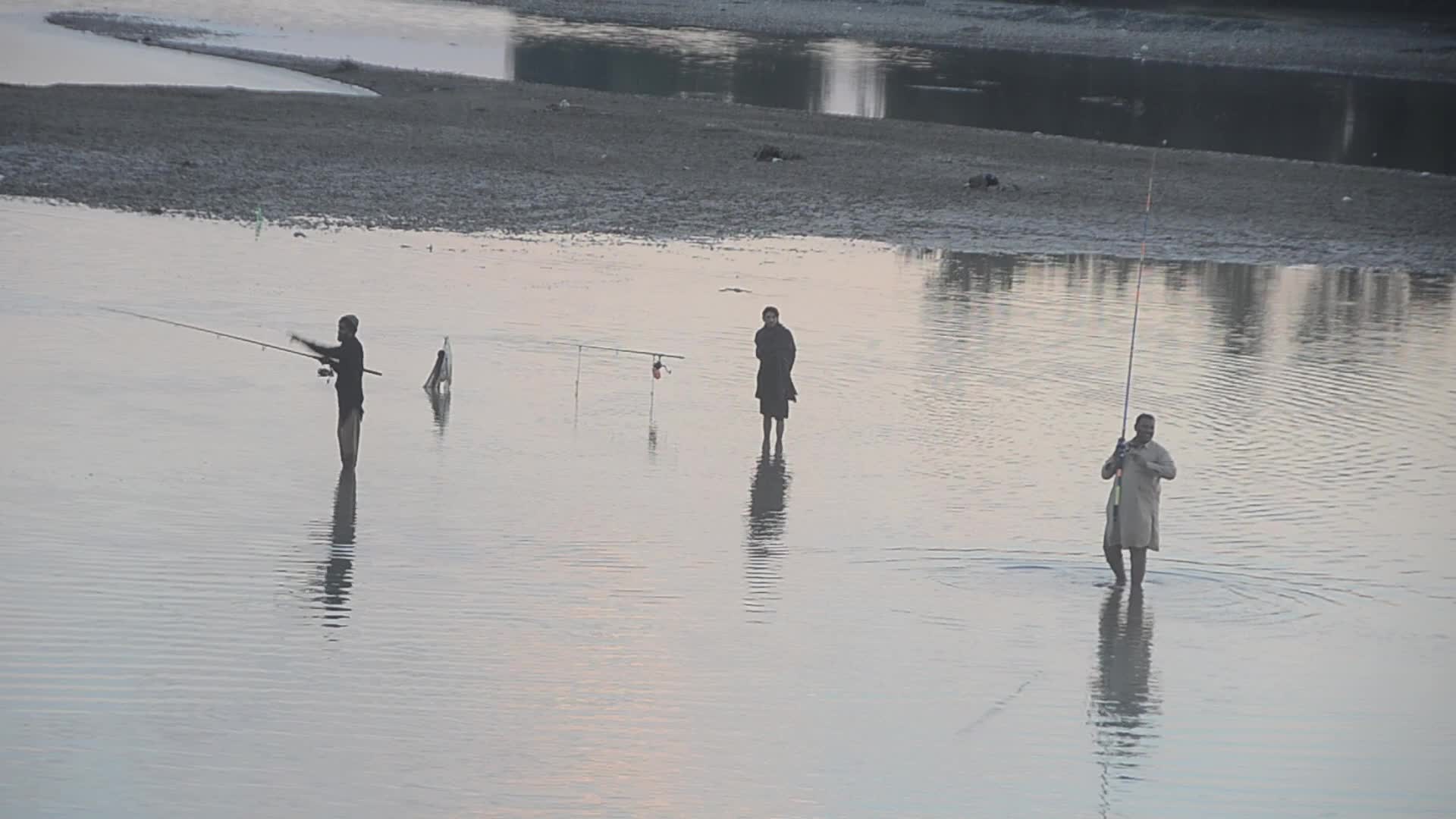 Fish hunter in Peshawar