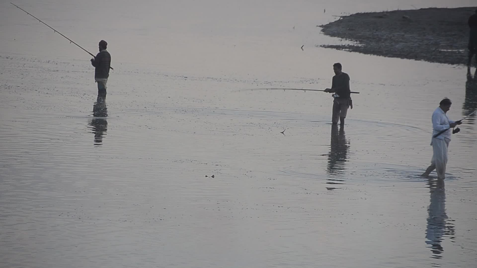 Fish hunter in Peshawar