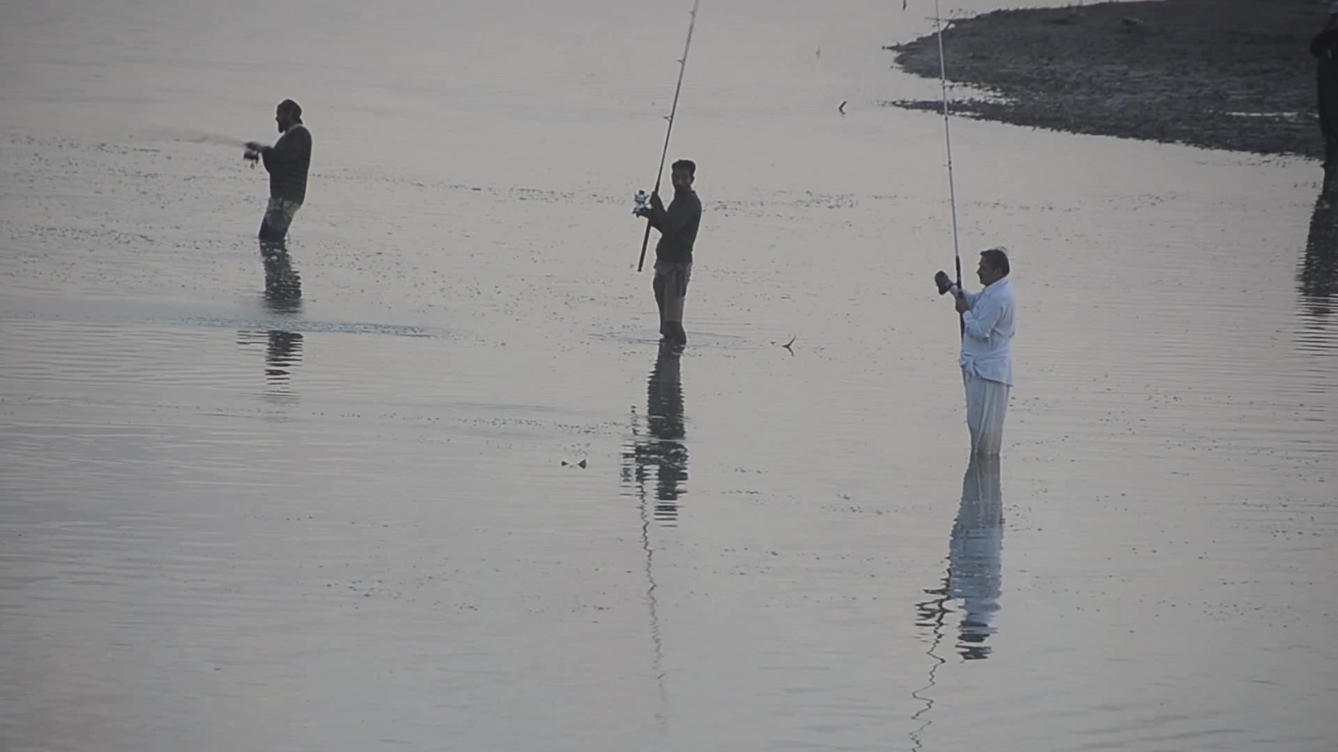 Fish hunter in Peshawar