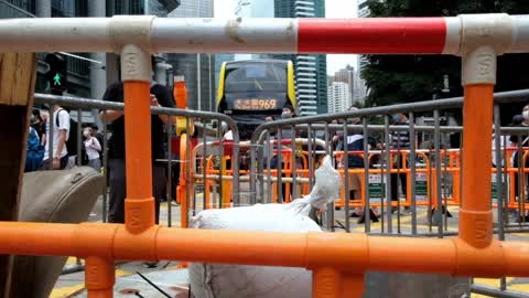 Clashes in Hong Kong After Vast Protest Against Extradition Law