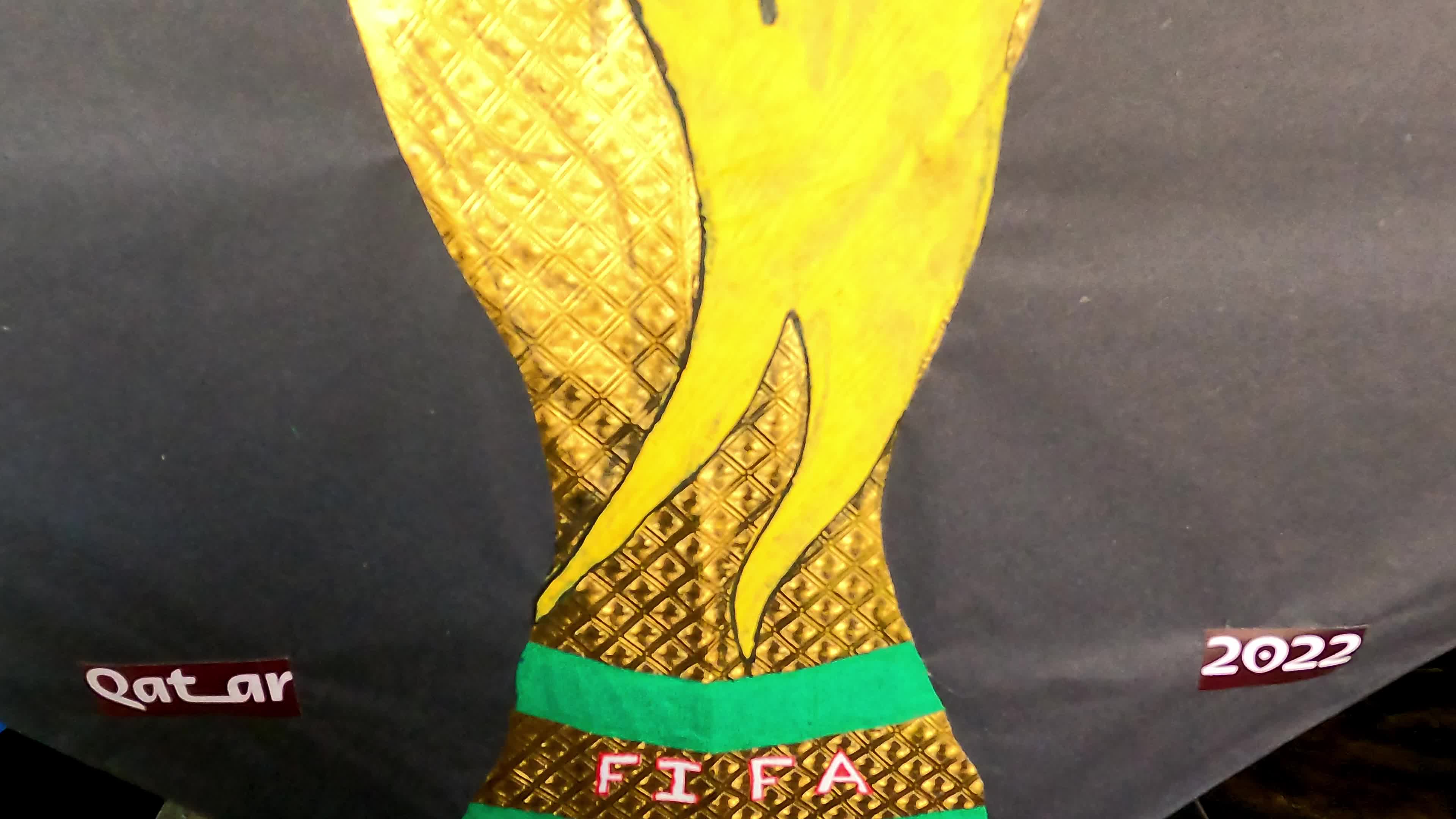 World Cup Celebration In India