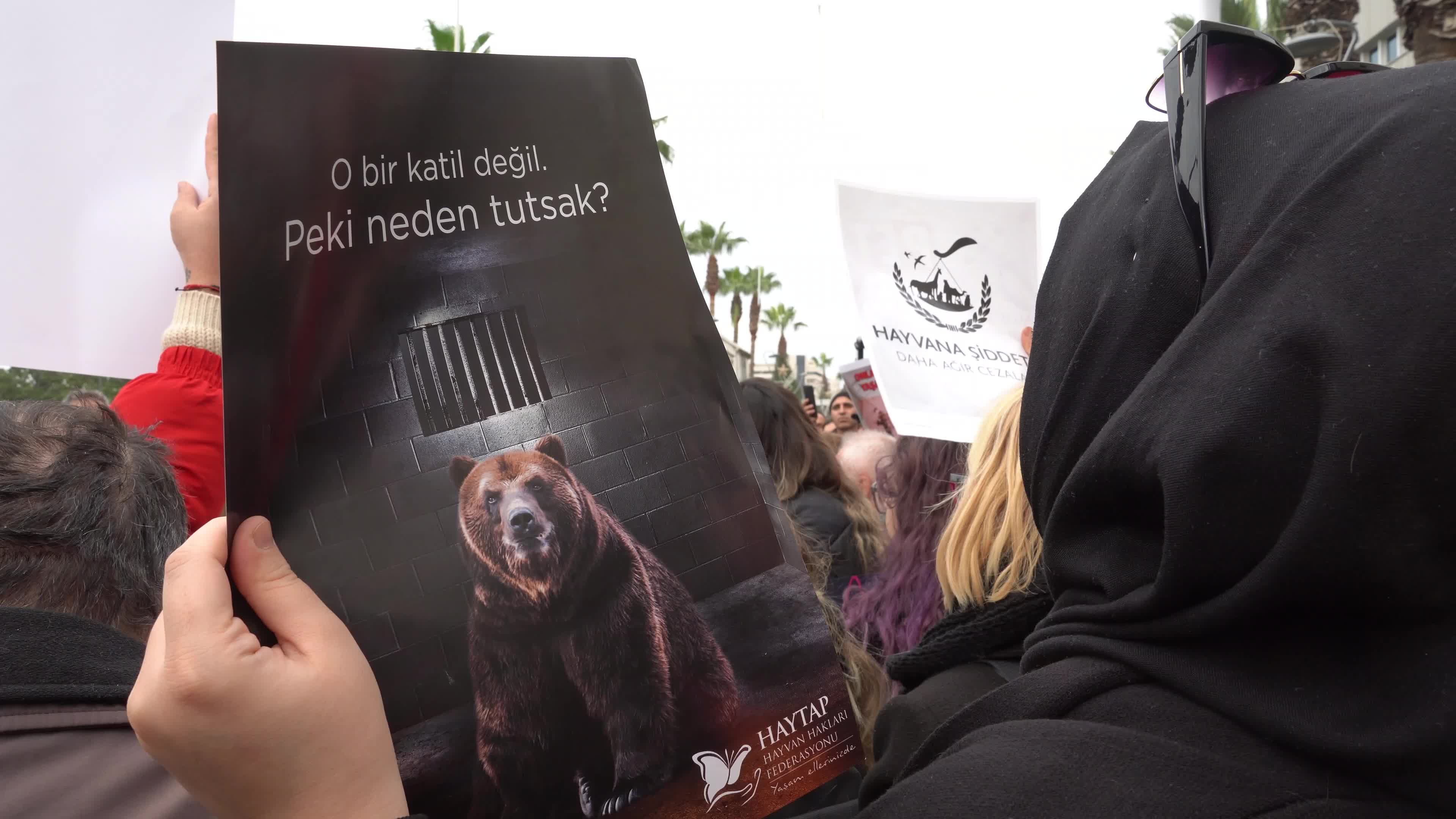 Animal welfare protest, Izmir, Turkey 