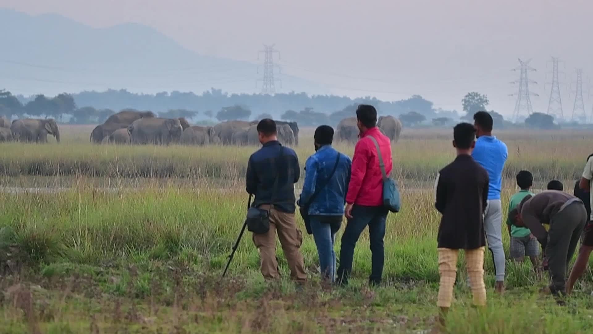 Man Elephant conflict in India 