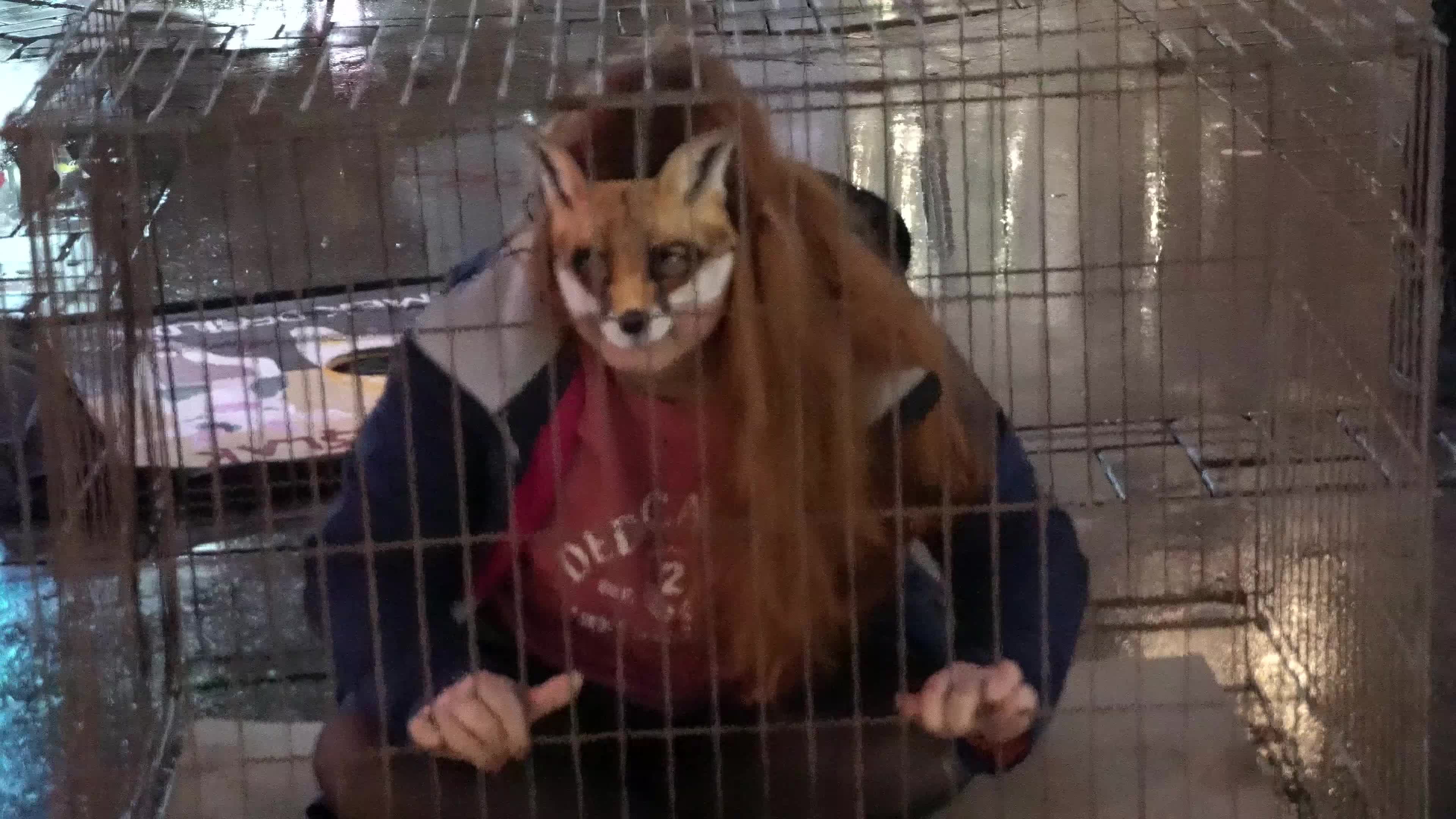 Vegan protest of animal slavery in Izmir, Turkey