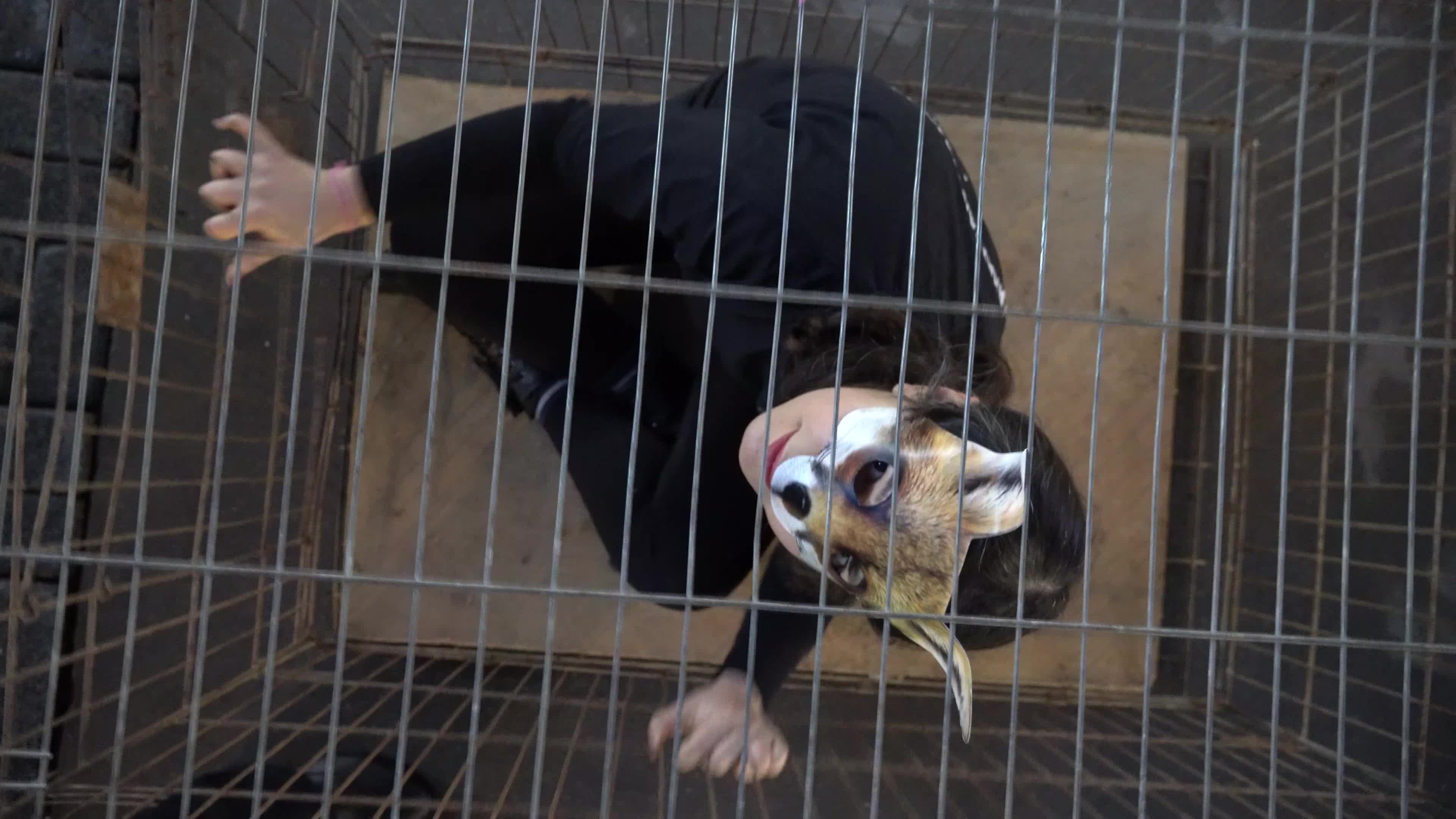 Vegan protest of animal slavery in Izmir, Turkey