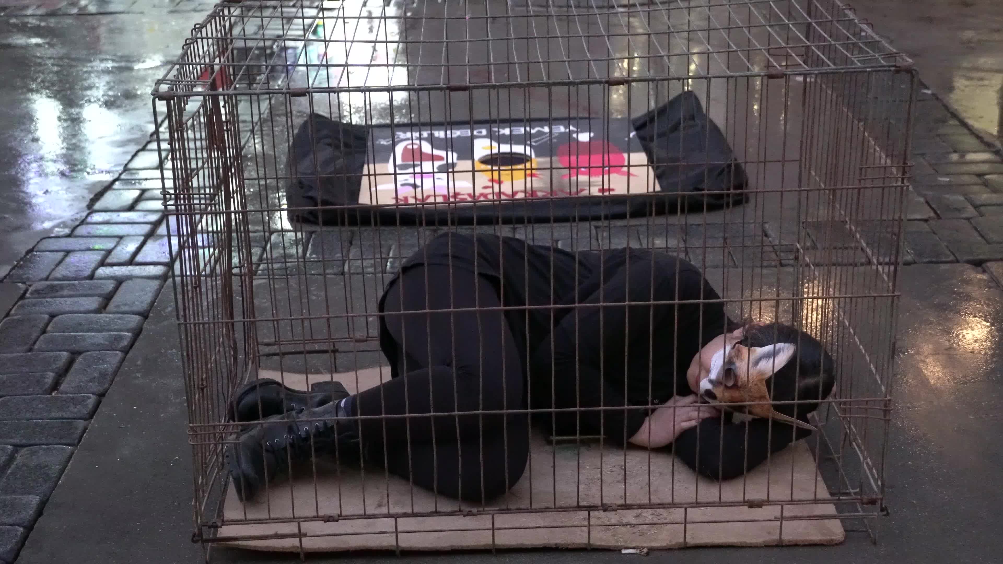 Vegan protest of animal slavery in Izmir, Turkey