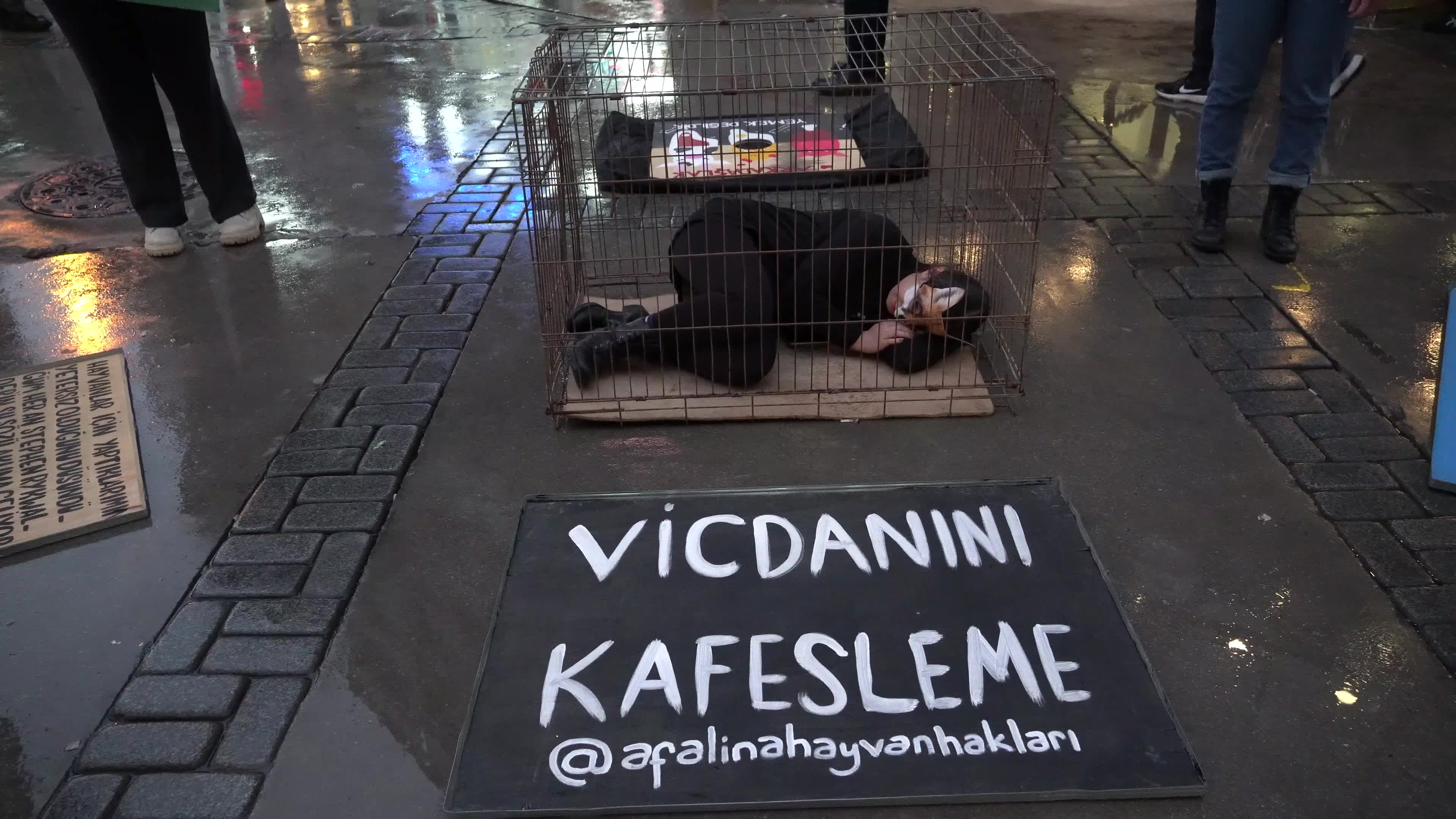Vegan protest of animal slavery in Izmir, Turkey