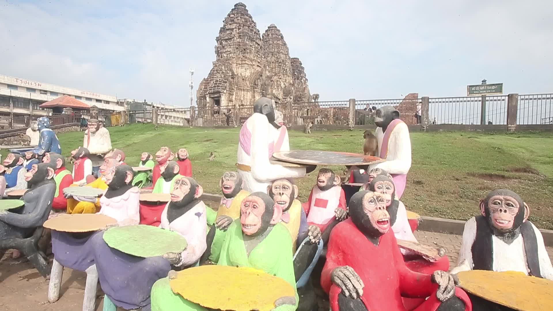 Monkey Buffet in Thailand