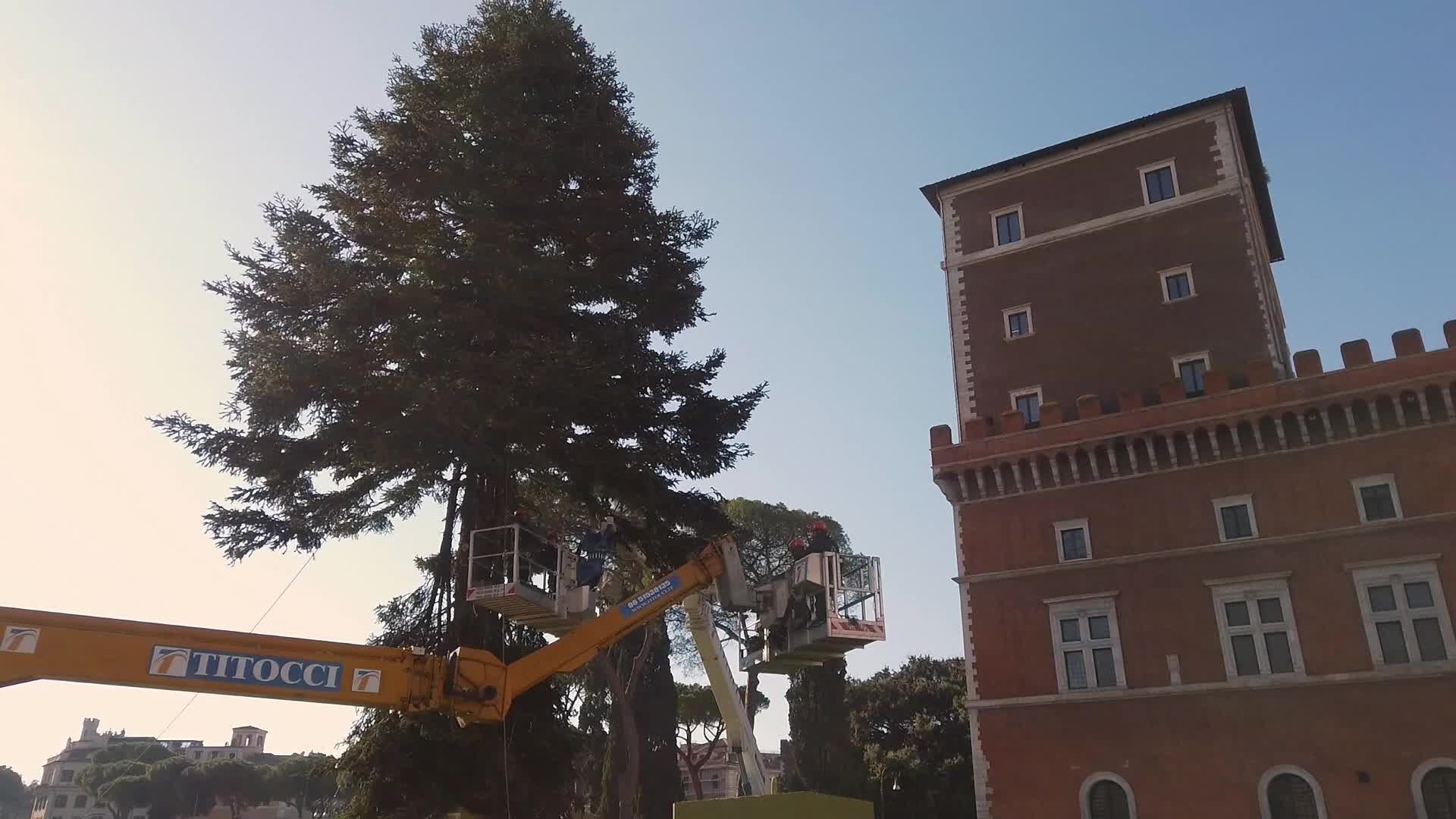 Christmas tree in Rome
