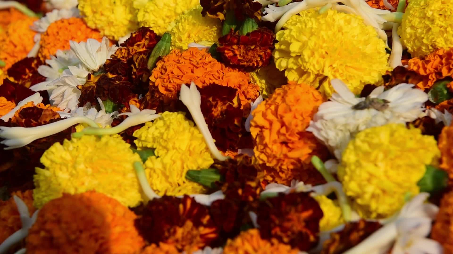 Flower Market In Mumbai 