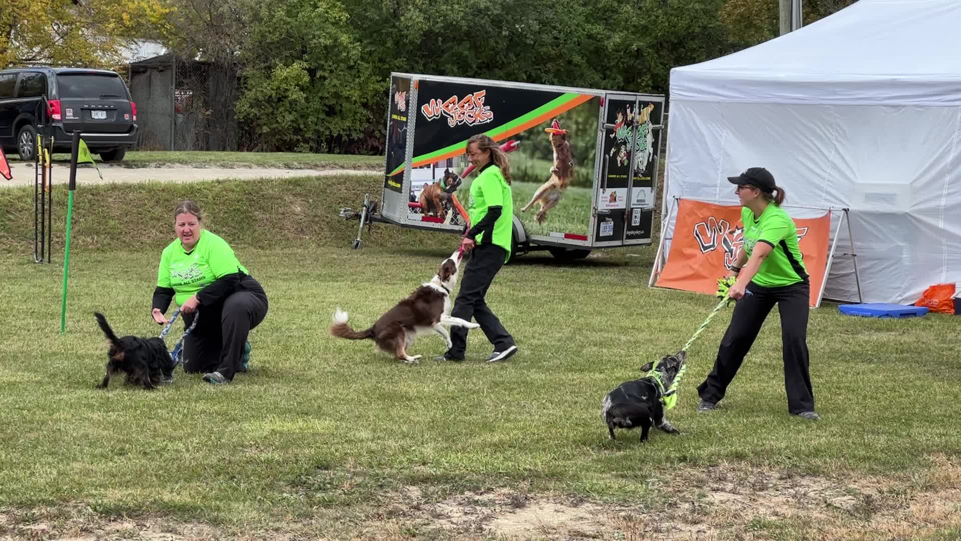 Dog show in Woodbridge