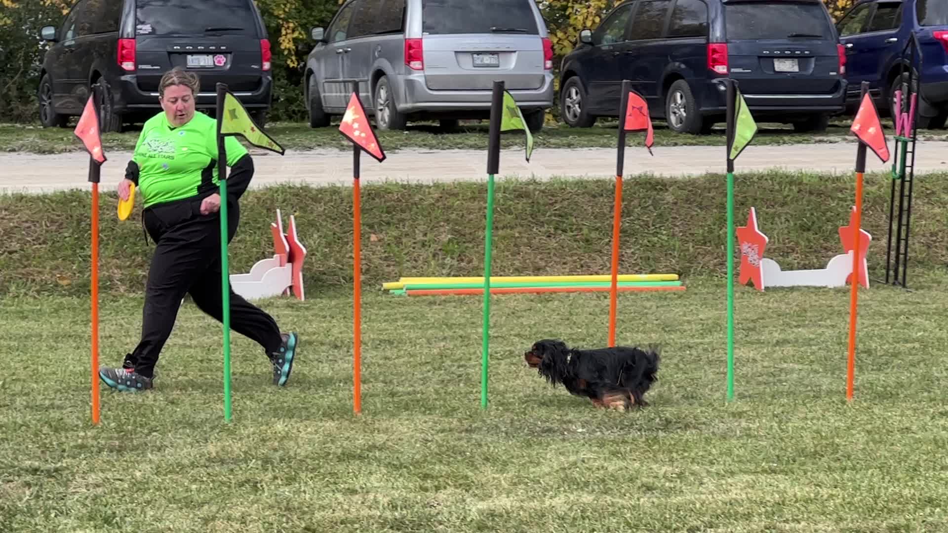 Dog show in Woodbridge