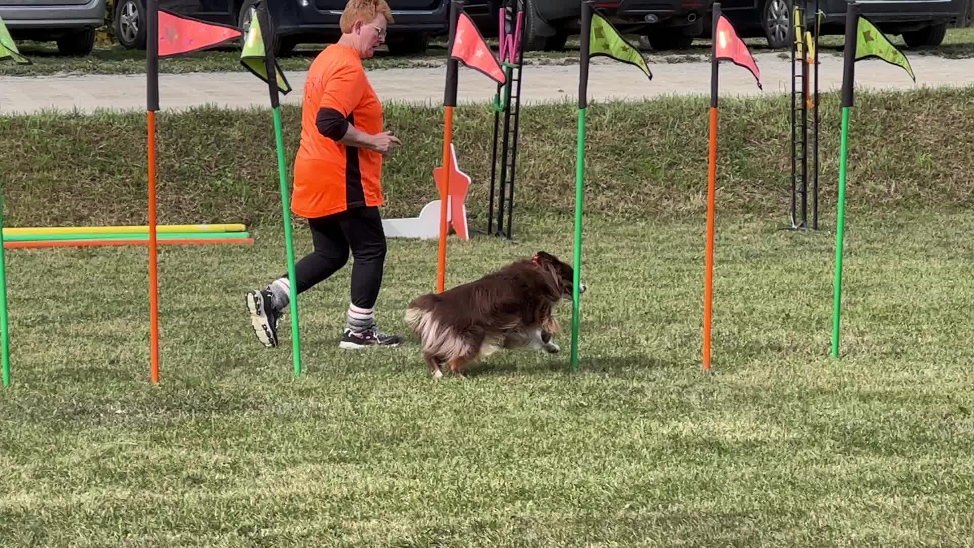Dog show in Woodbridge