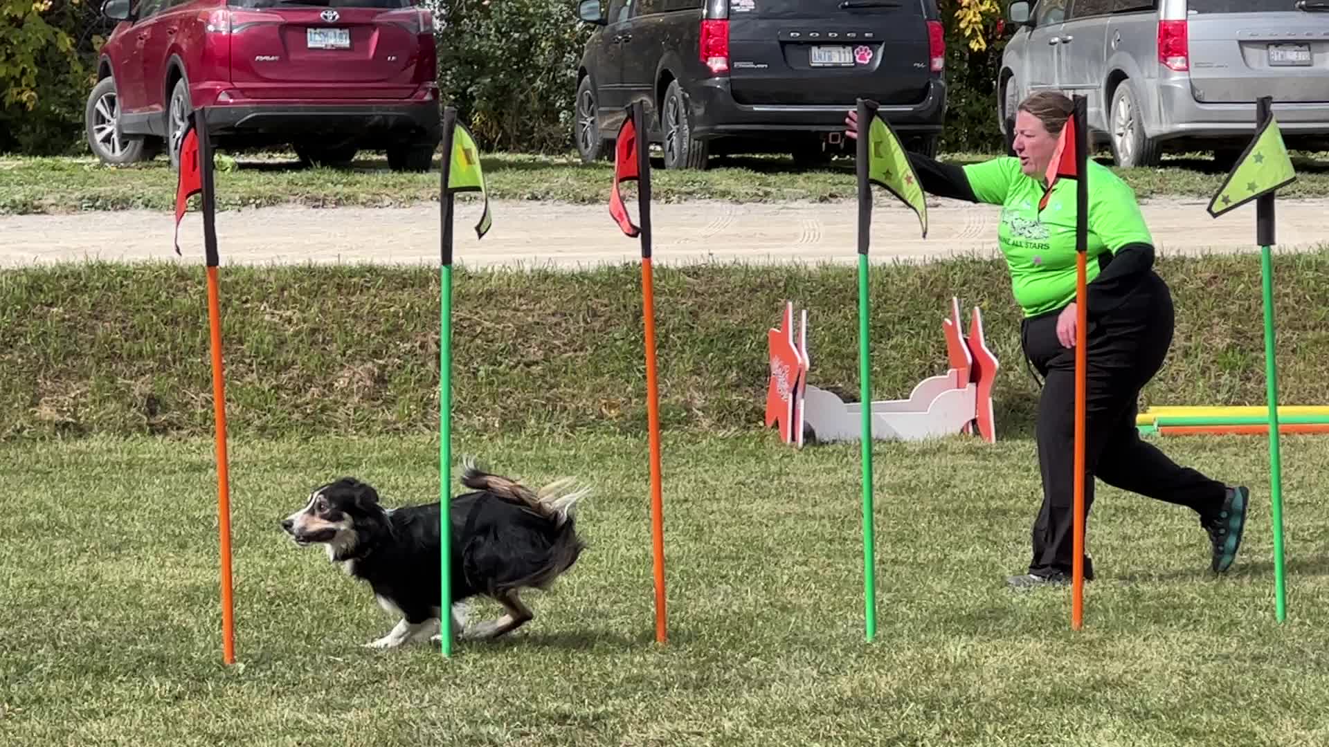 Dog show in Woodbridge