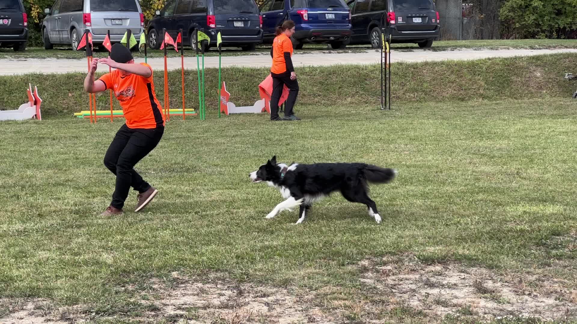 Dog show in Woodbridge
